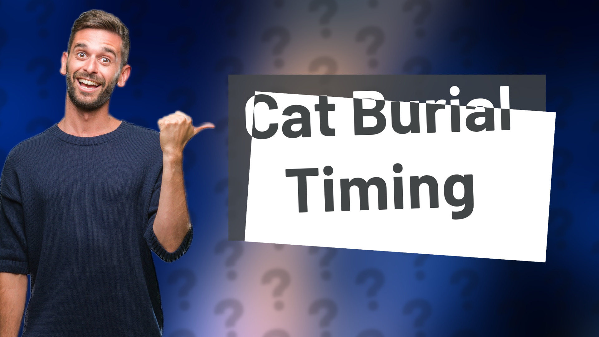 Cat Burial Timing