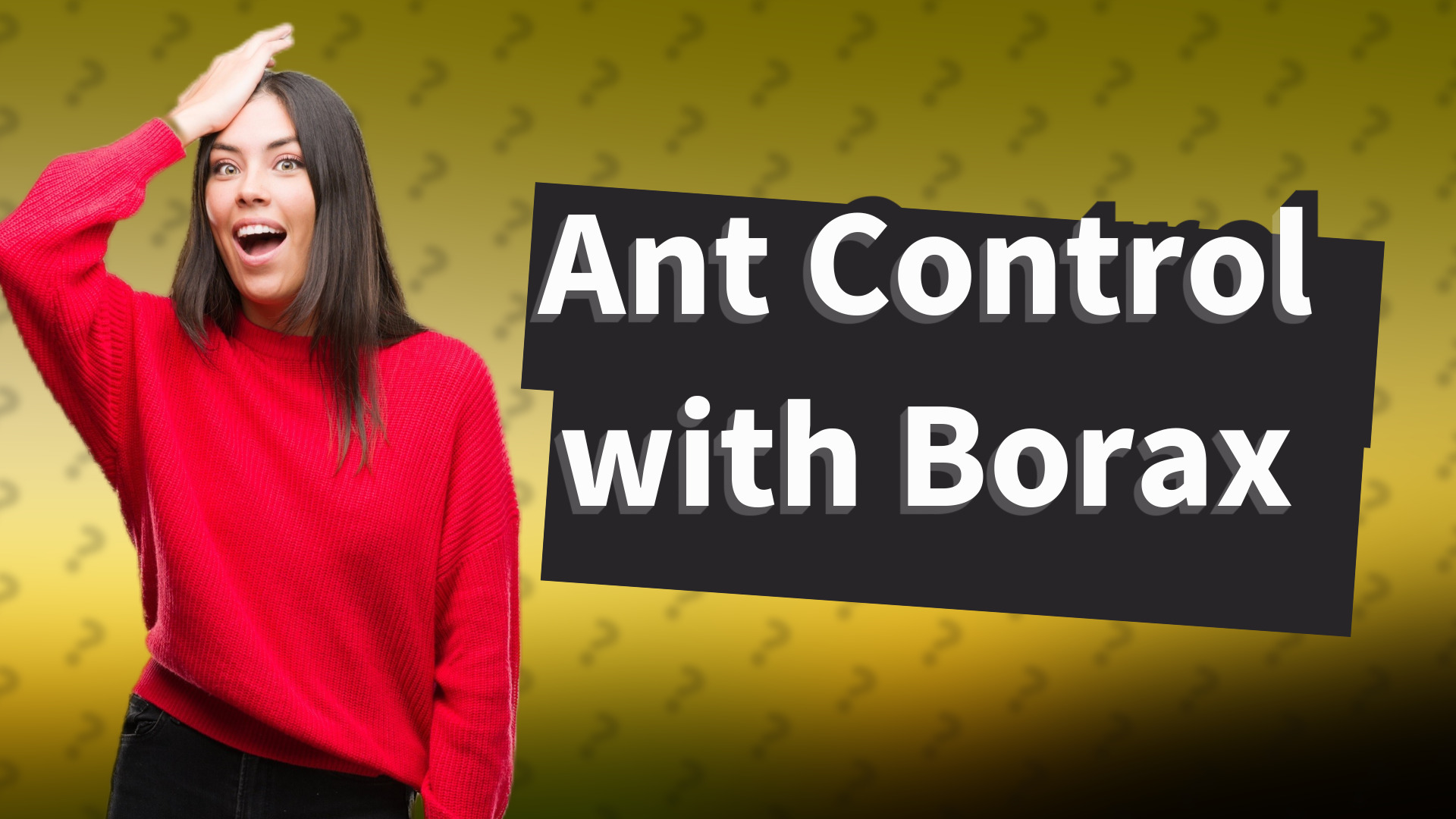 Ant Control with Borax