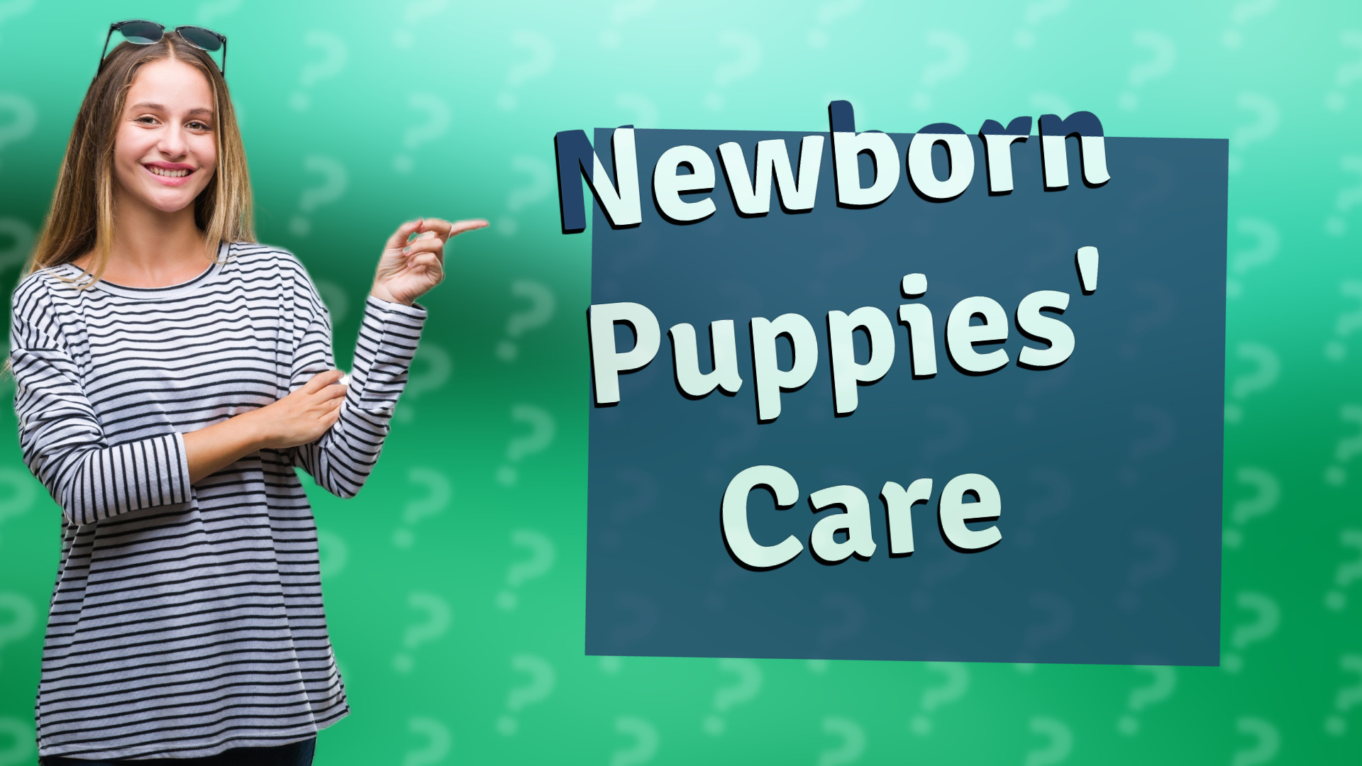 Newborn Puppies' Care
