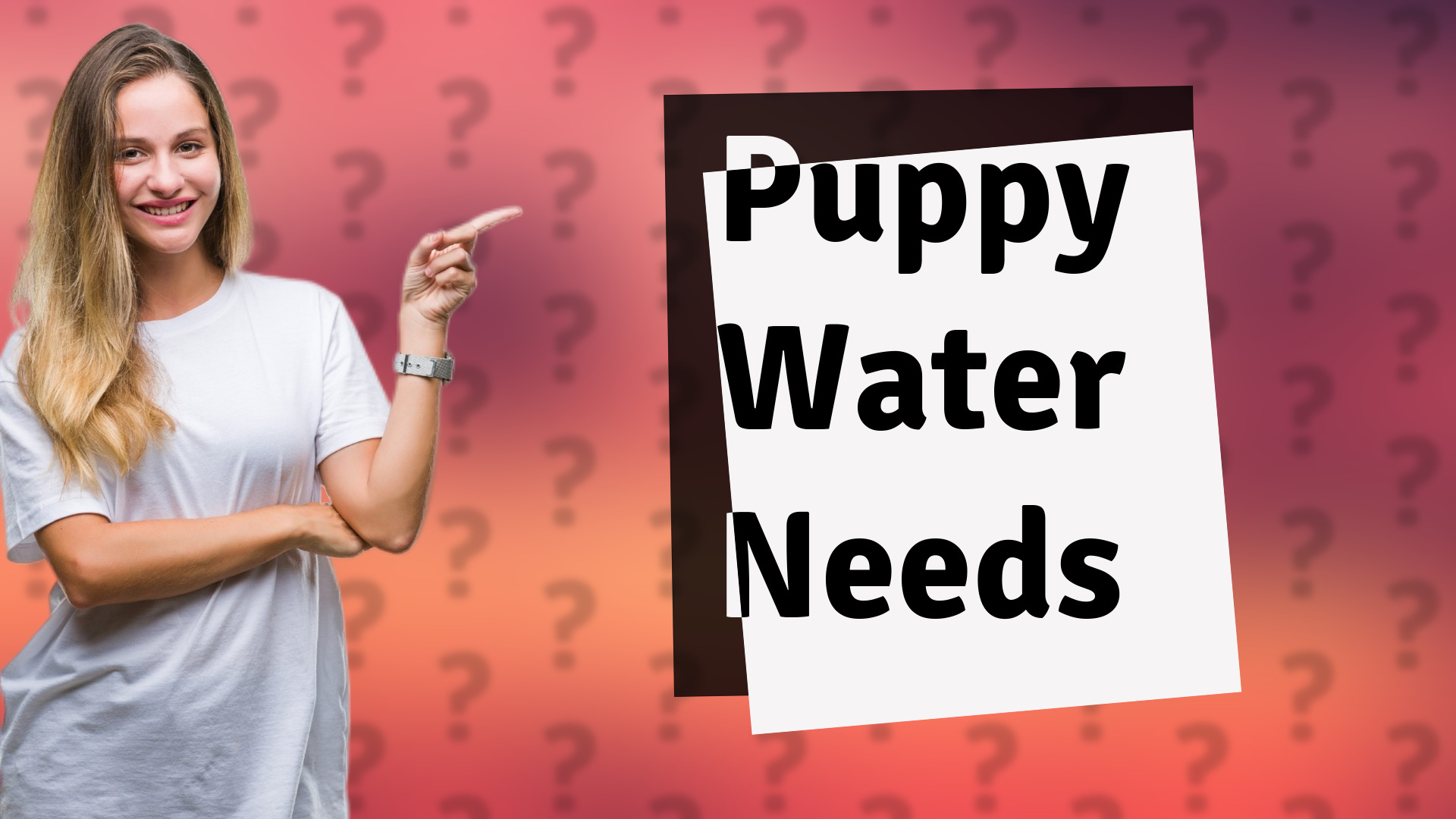 Puppy Water Needs
