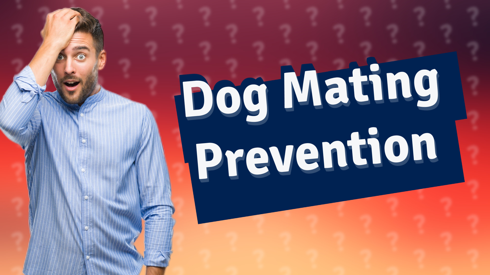 Dog Mating Prevention