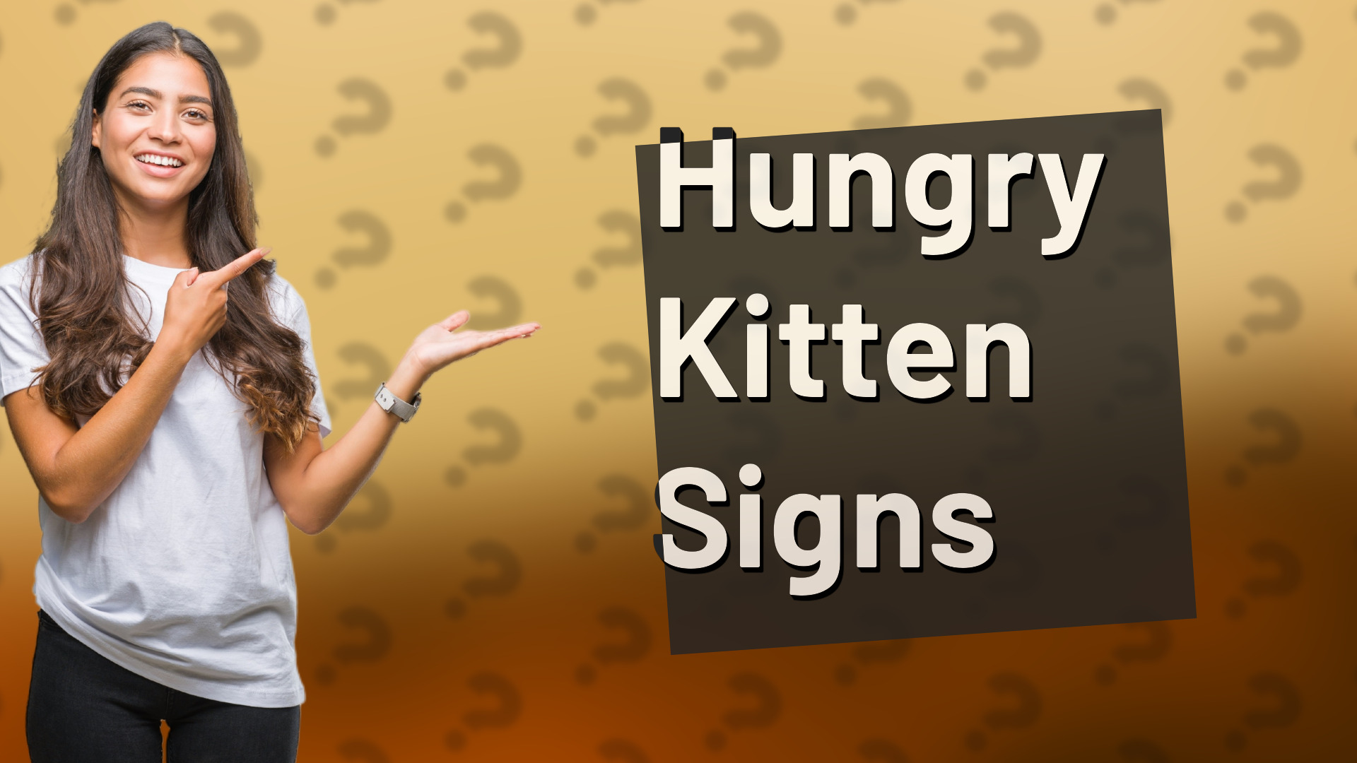 Hungry Kitten Signs