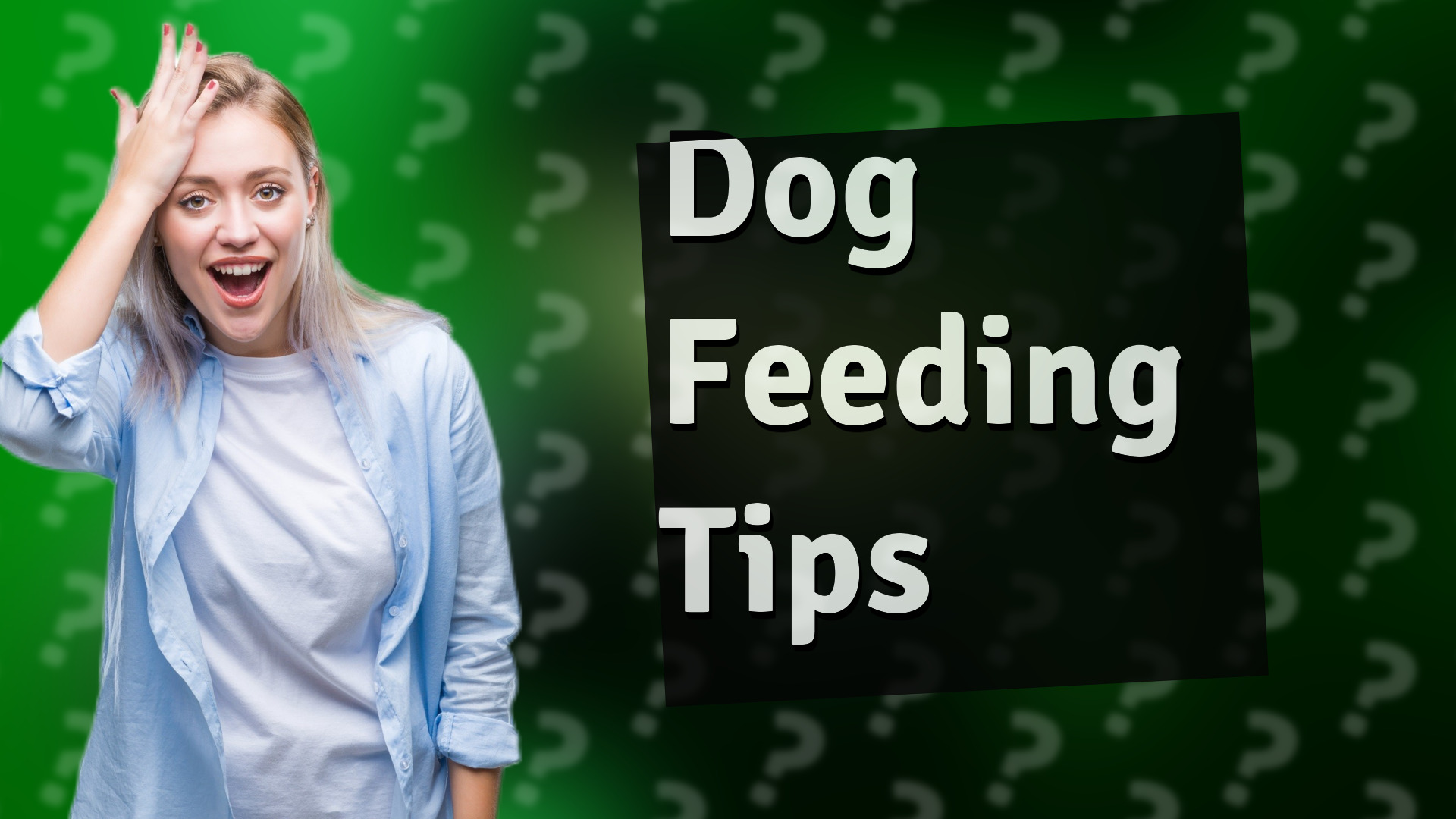 Dog Feeding Tips
