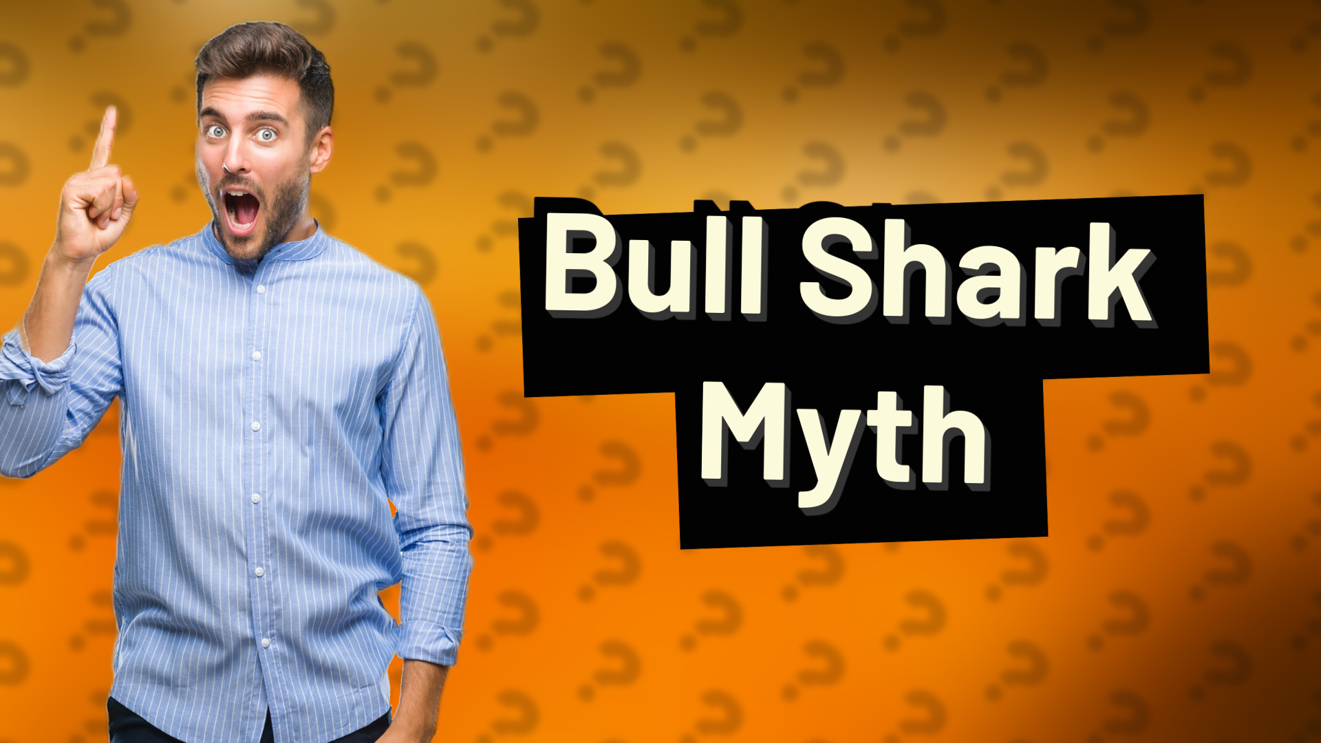 Bull Shark Myth