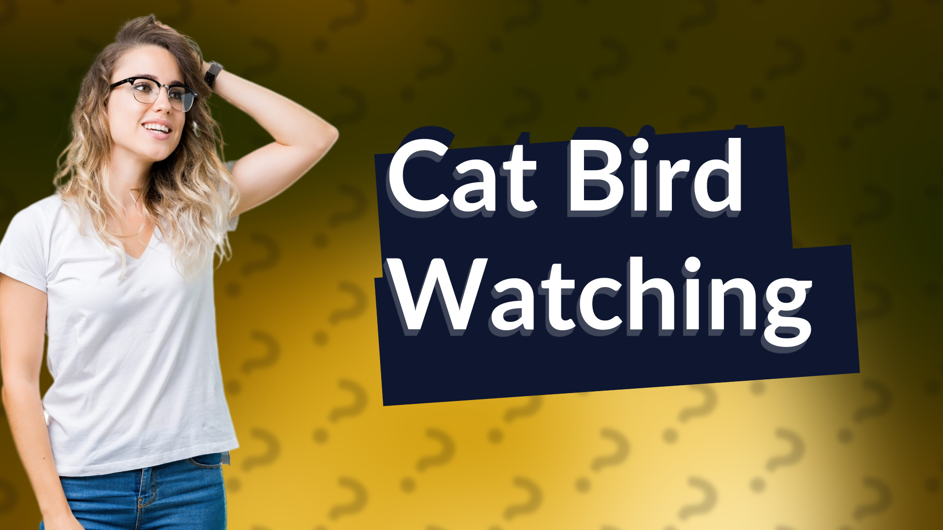 Cat Bird Watching