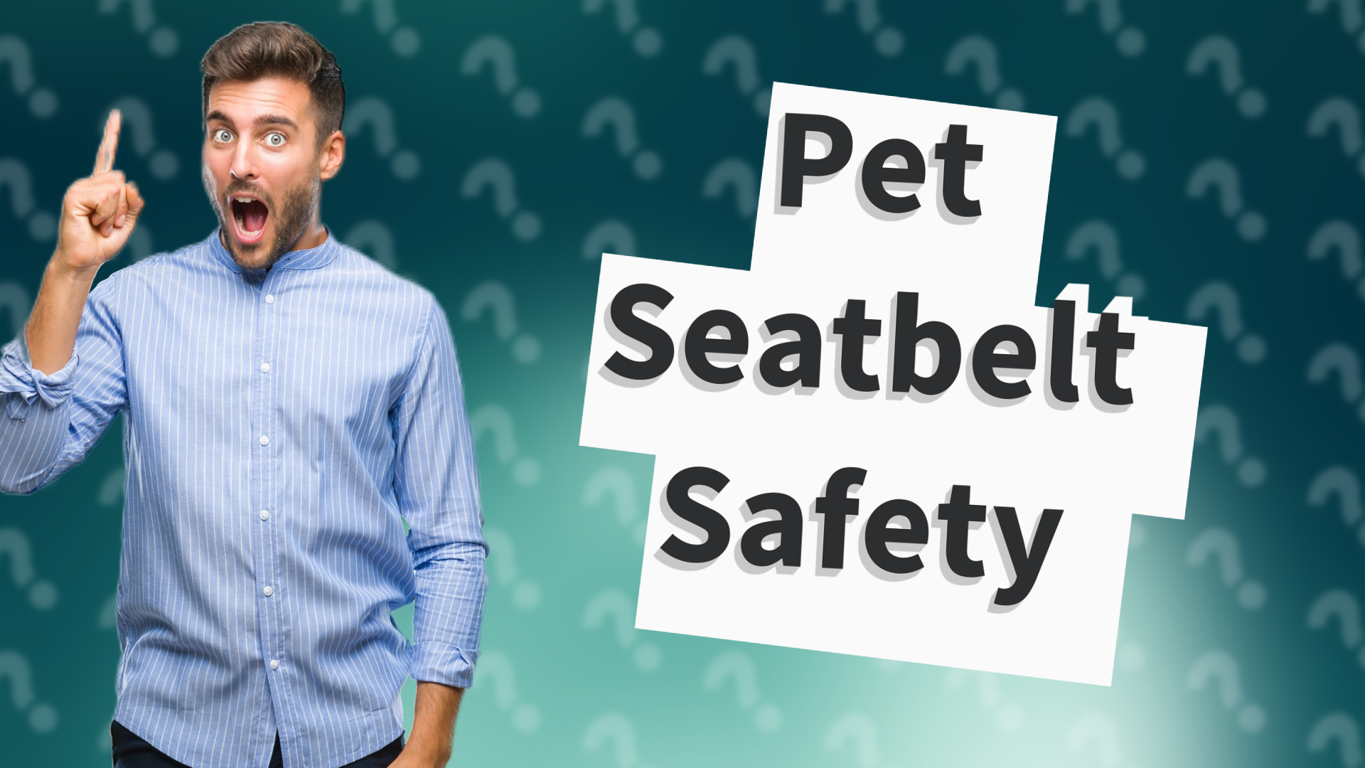 Pet Seatbelt Safety