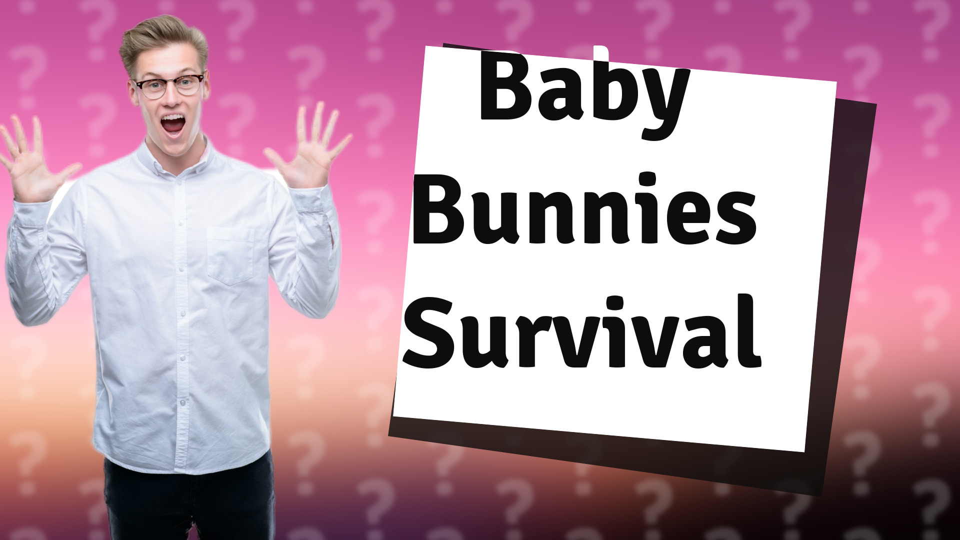 Baby Bunnies Survival