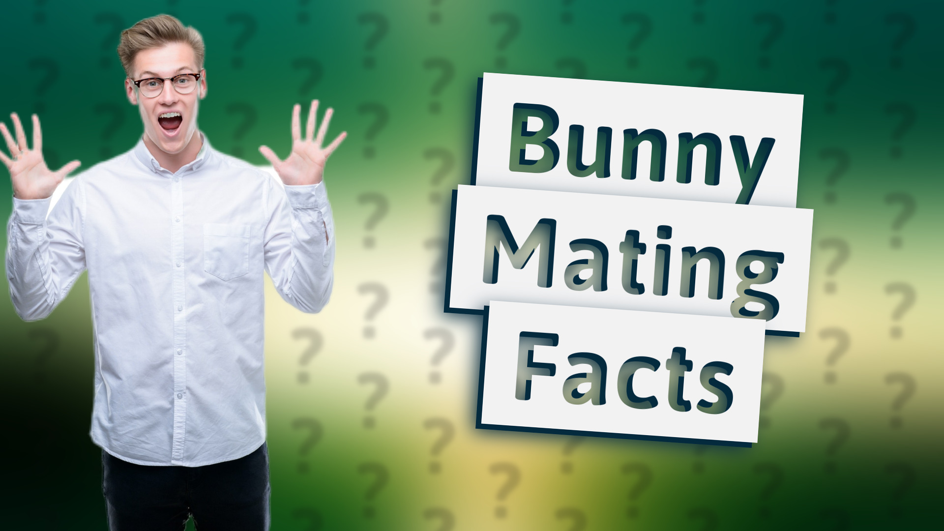 Bunny Mating Facts