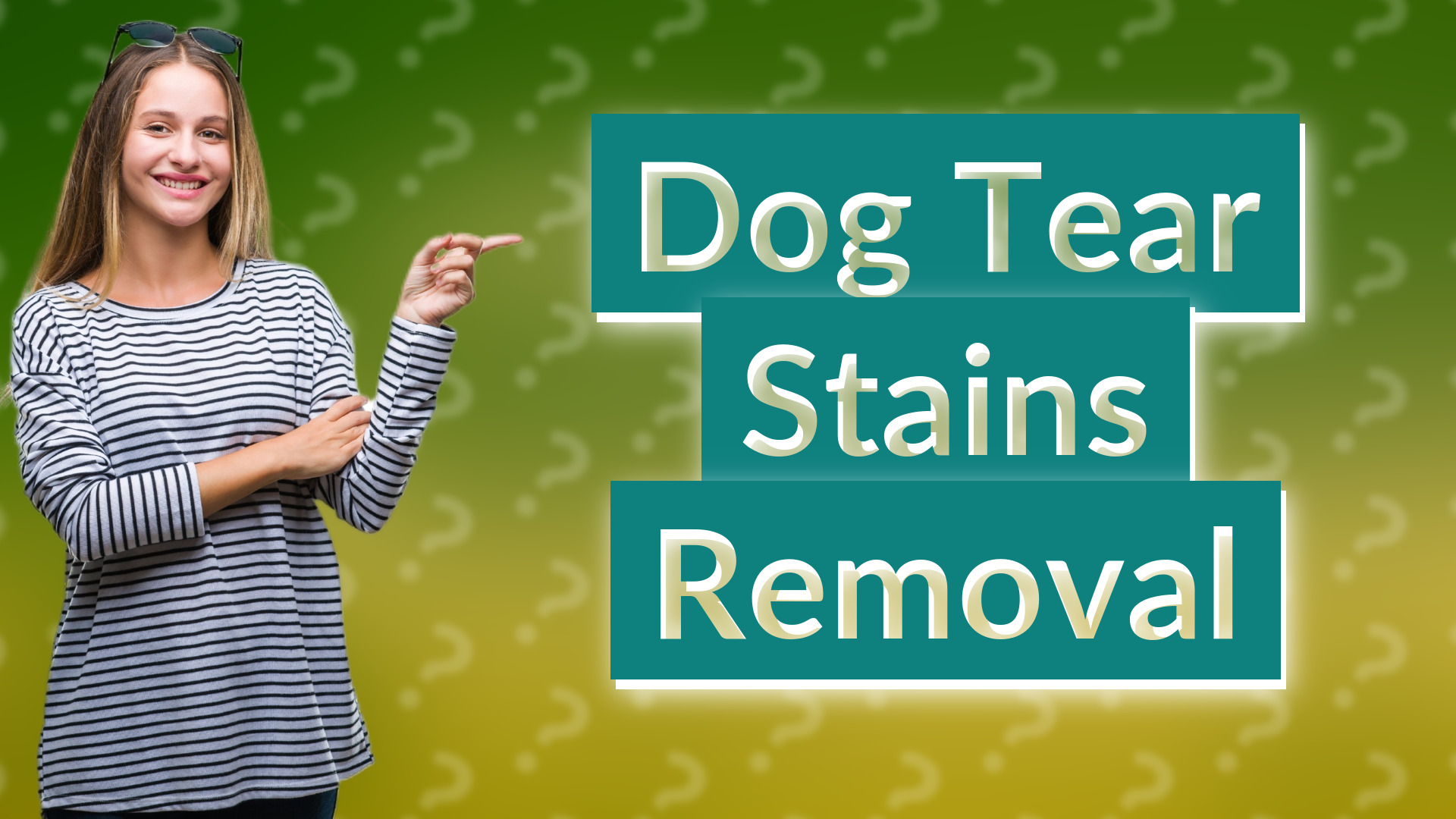 Dog Tear Stains Removal