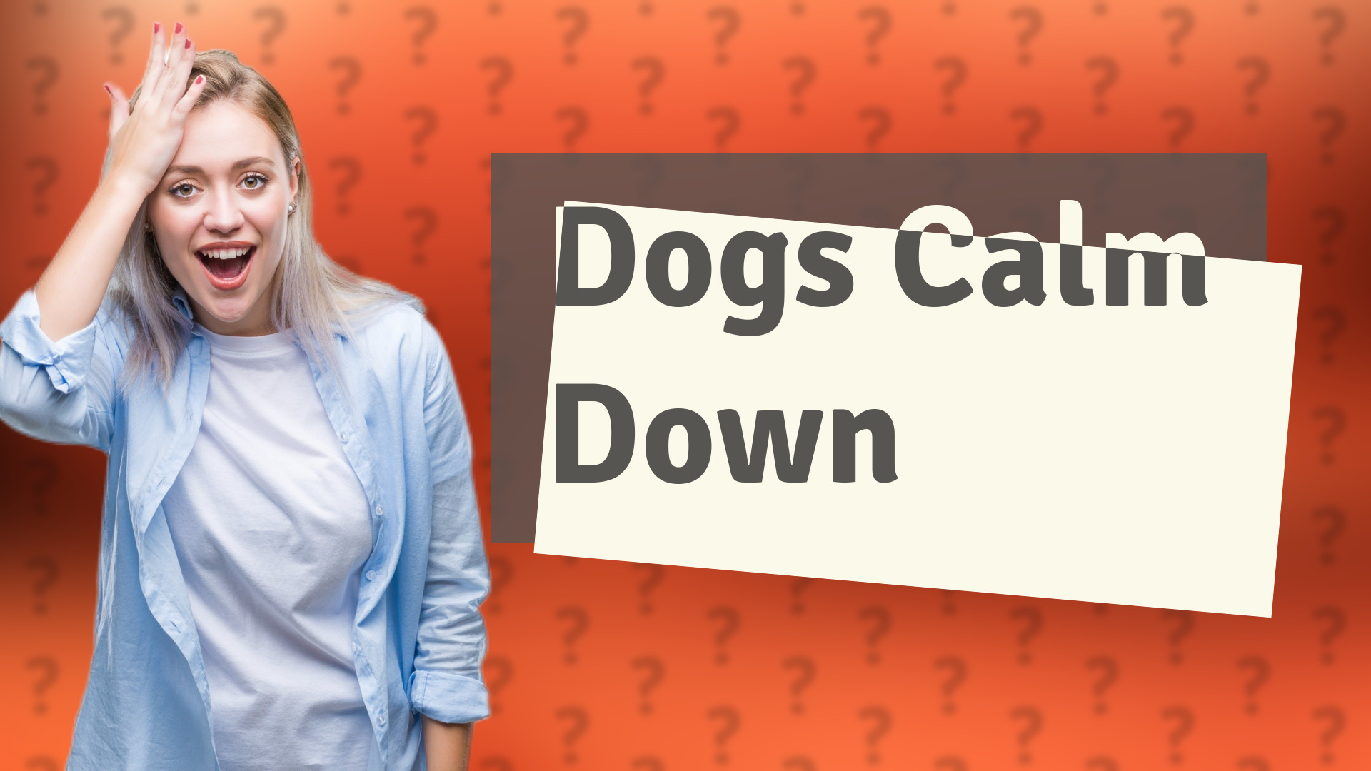 Dogs Calm Down