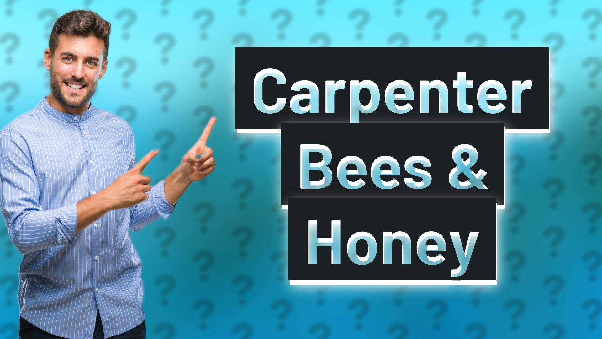 Carpenter Bees & Honey