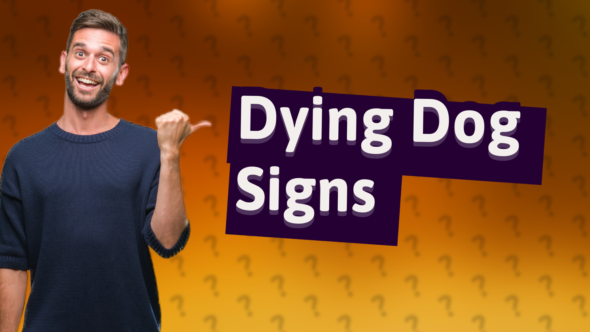 Dying Dog Signs