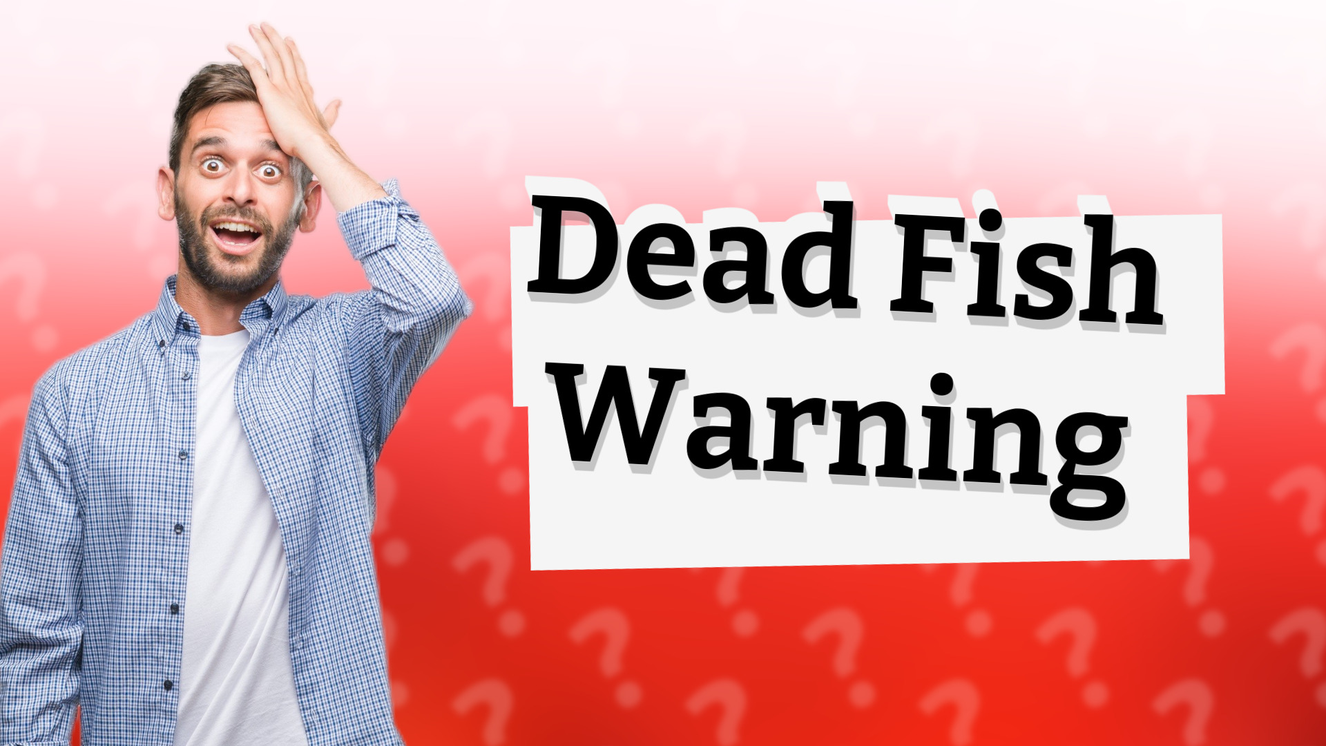 Dead Fish Warning