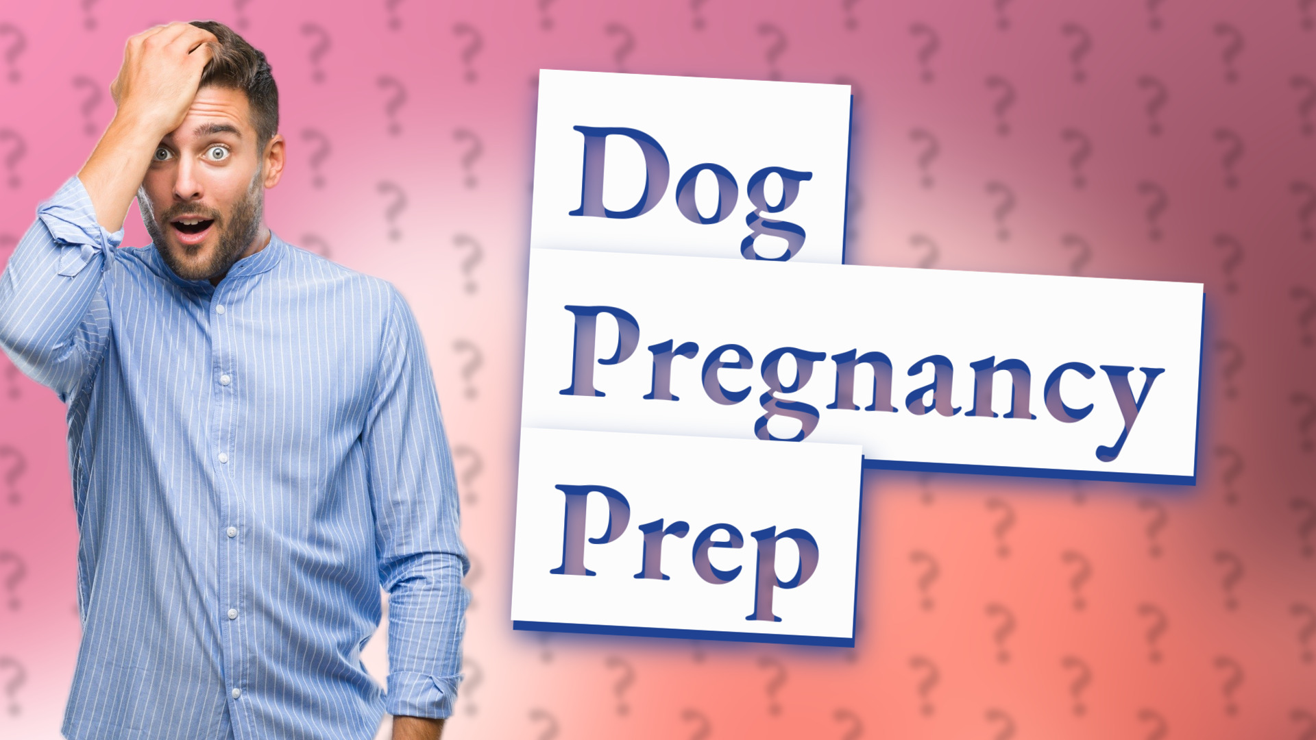 Dog Pregnancy Prep