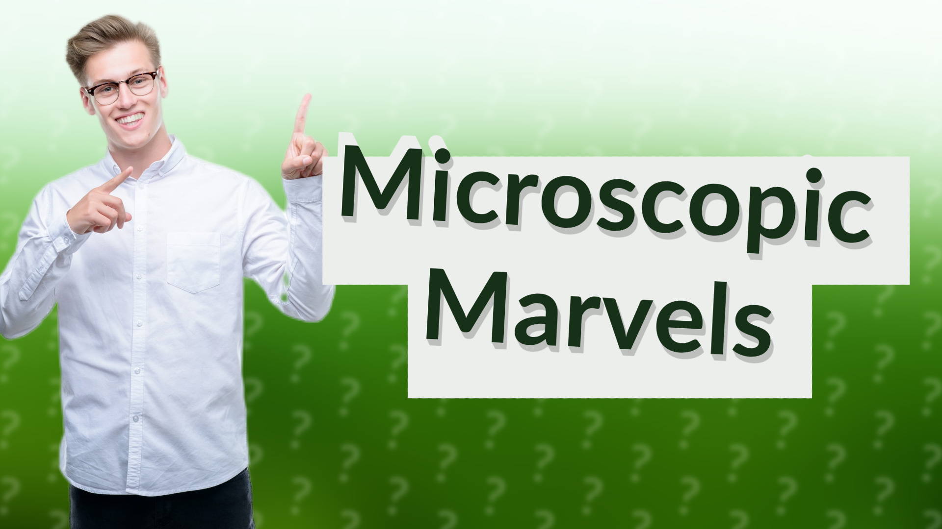 Microscopic Marvels