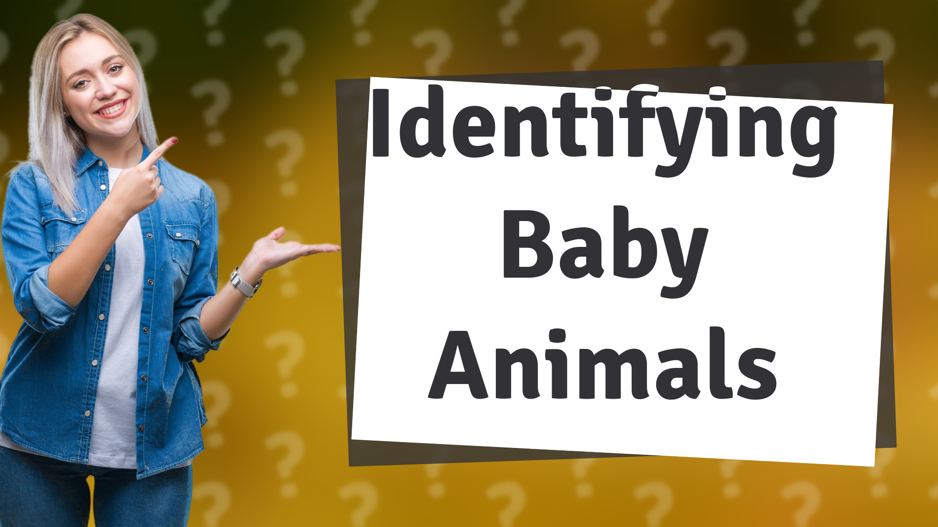 Identifying Baby Animals