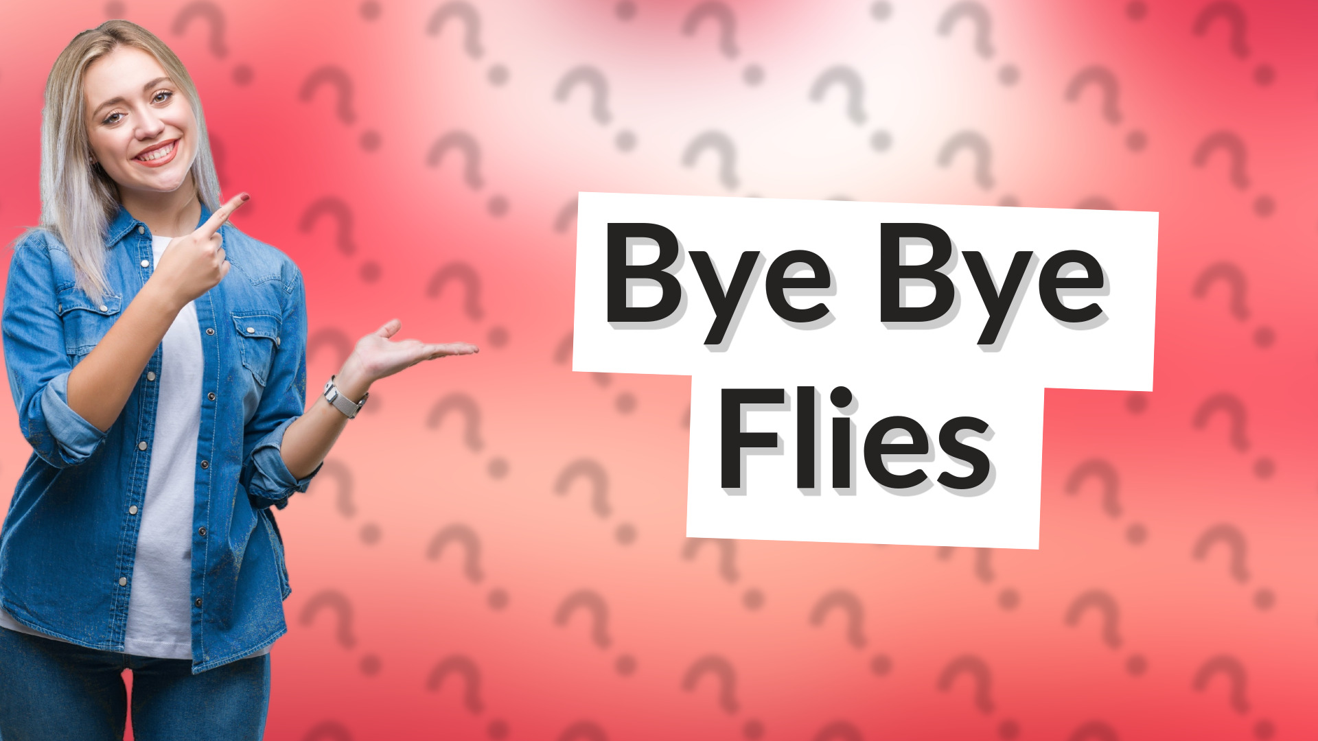 Bye Bye Flies
