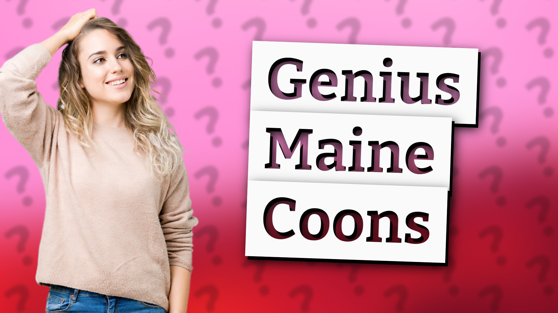 Genius Maine Coons