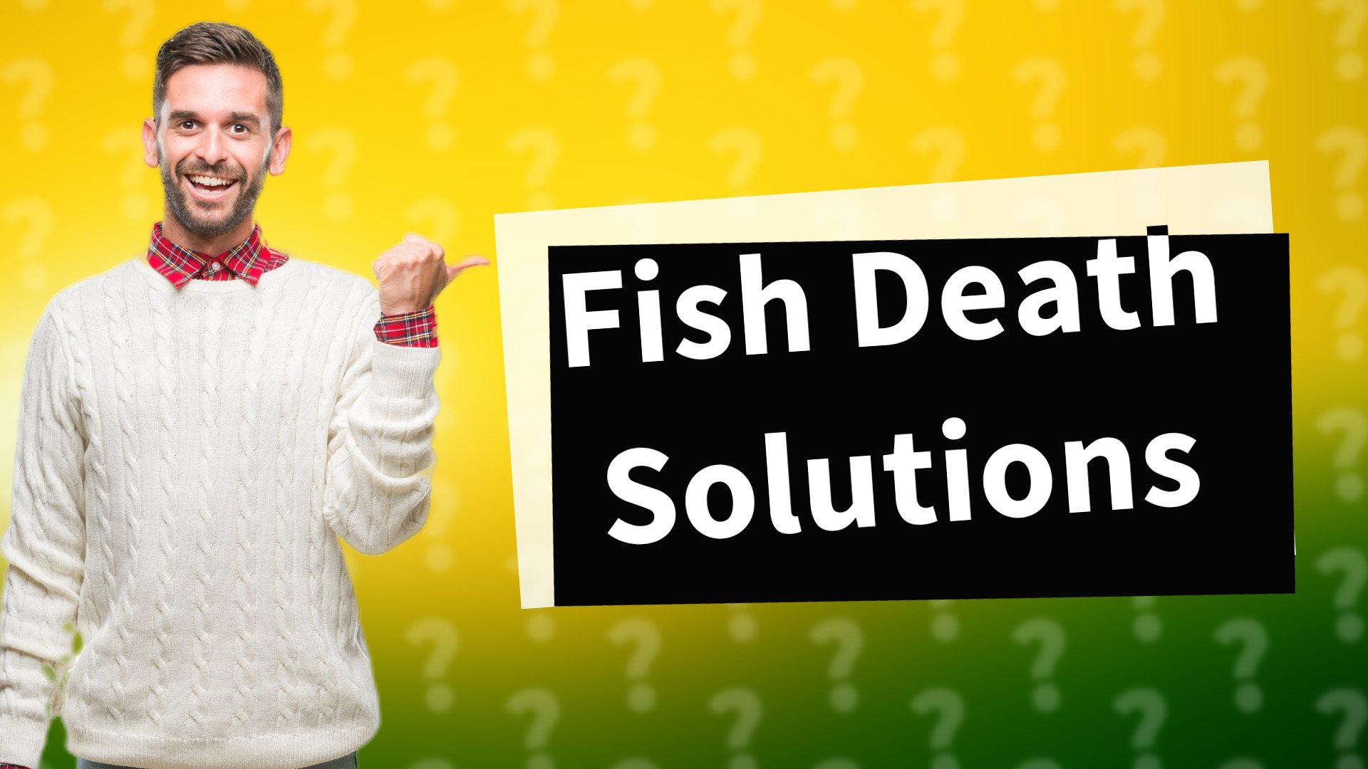 Fish Death Solutions