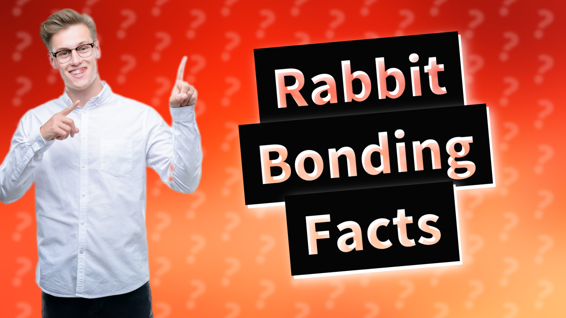 Rabbit Bonding Facts