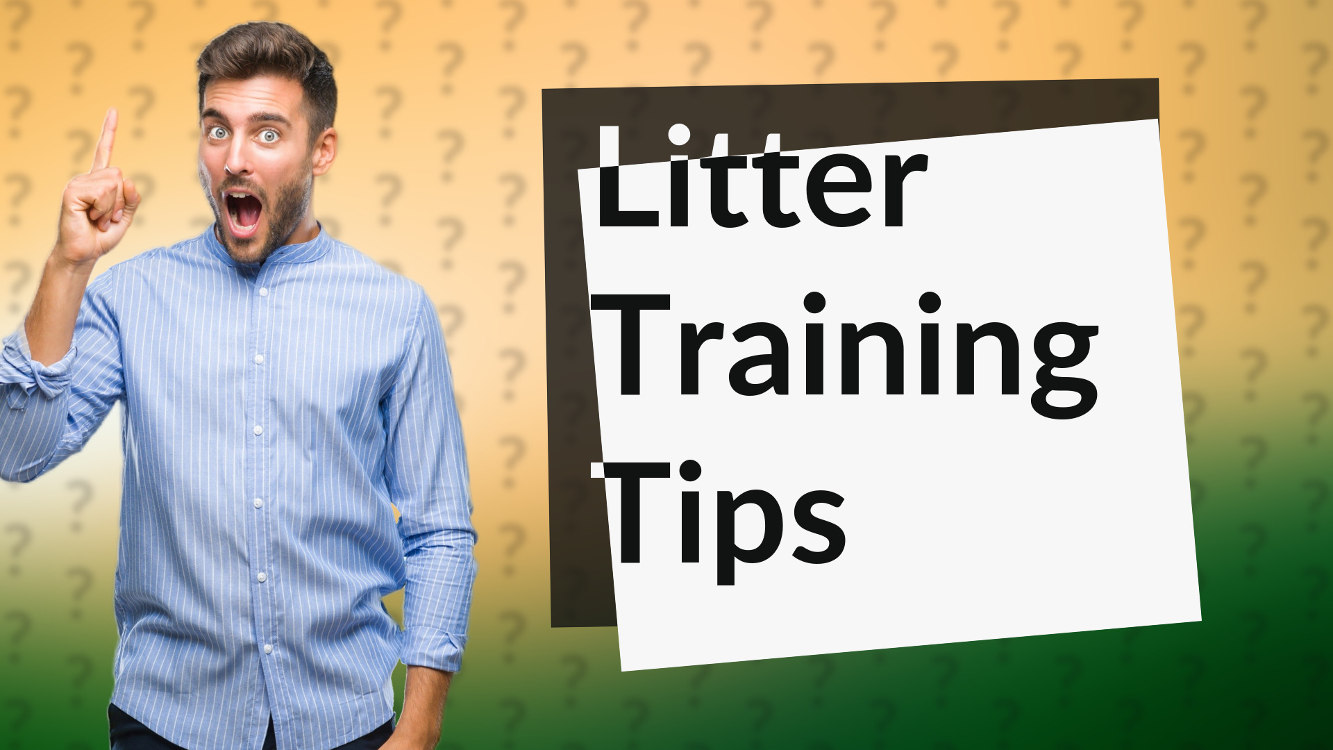 Litter Training Tips