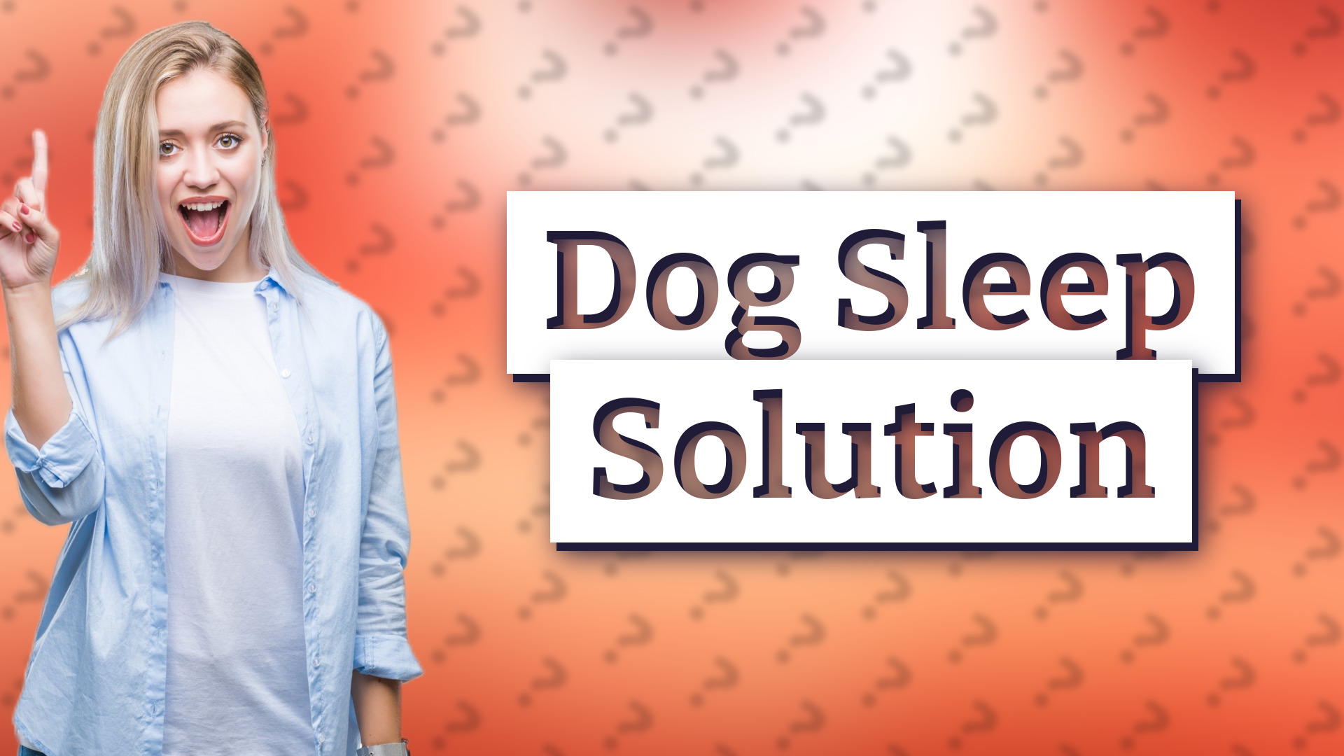 Dog Sleep Solution