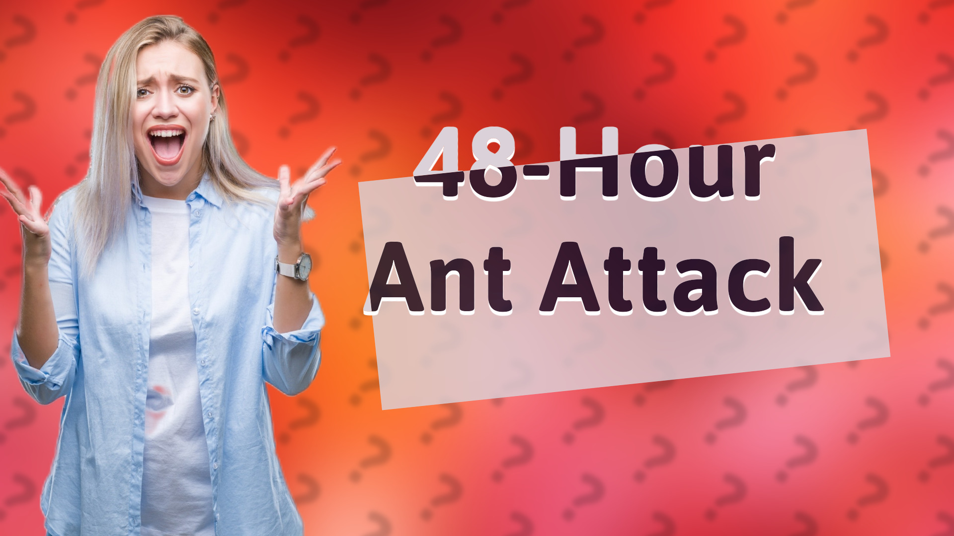 48-Hour Ant Attack