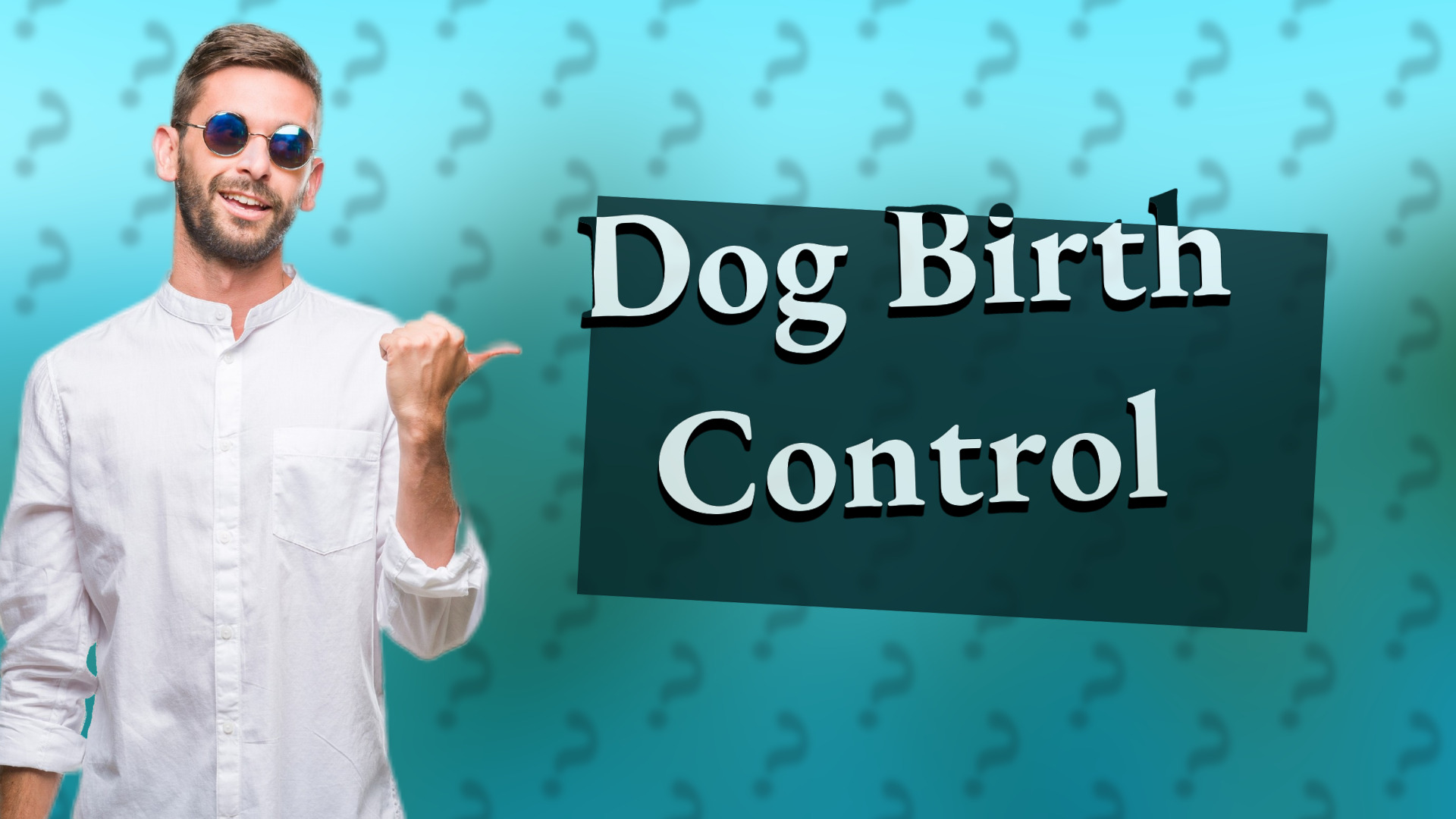 Dog Birth Control