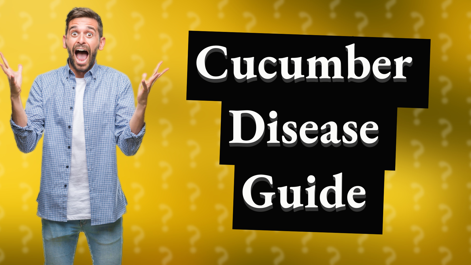 Cucumber Disease Guide