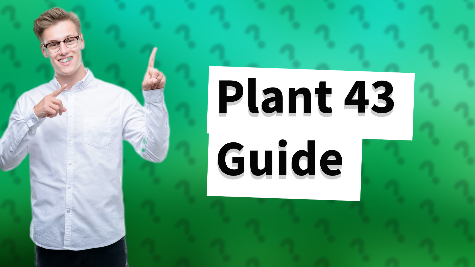 Plant 43 Guide