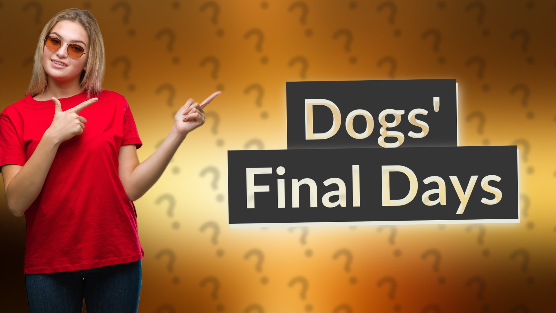 Dogs' Final Days