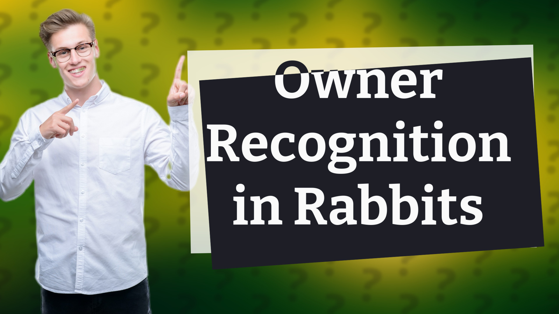 Owner Recognition in Rabbits