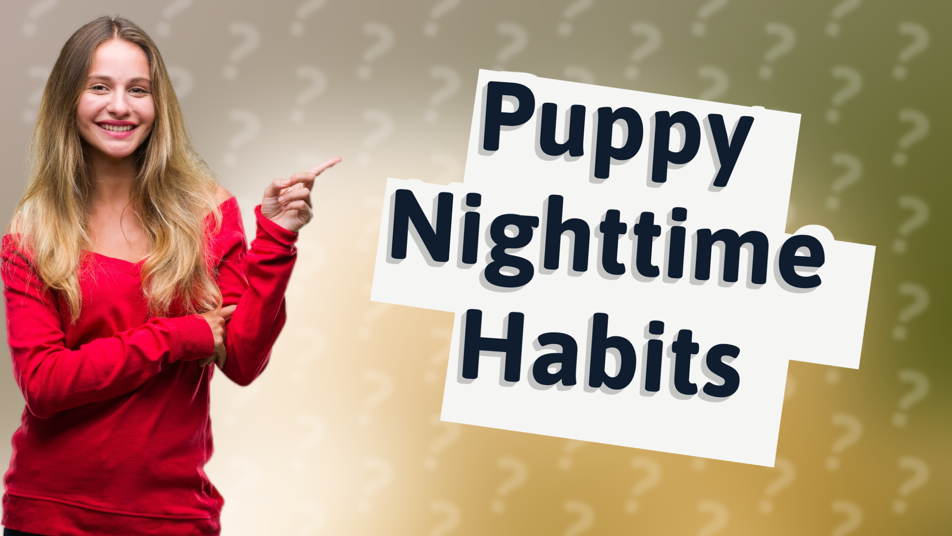 Puppy Nighttime Habits