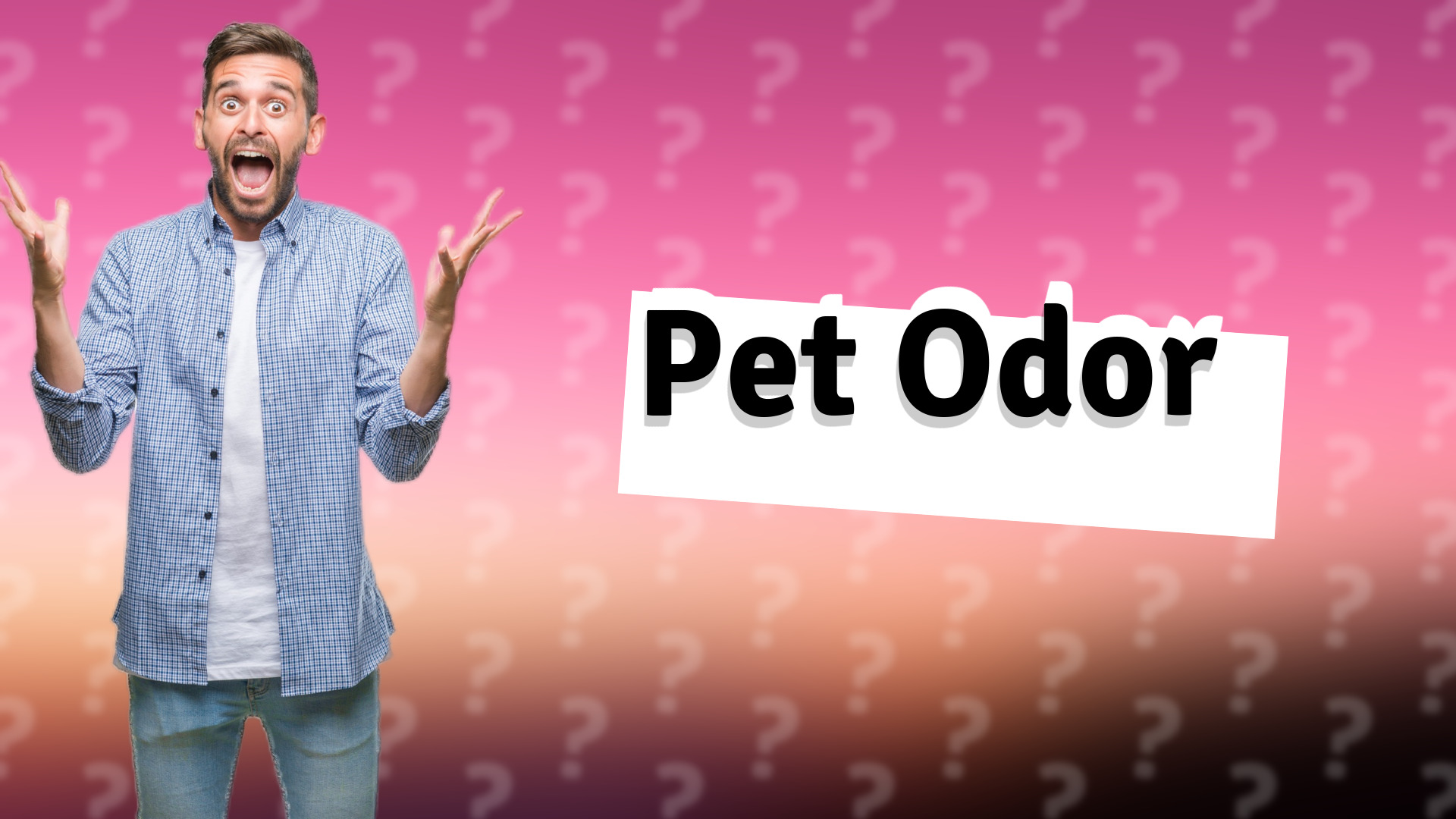 Pet Odor