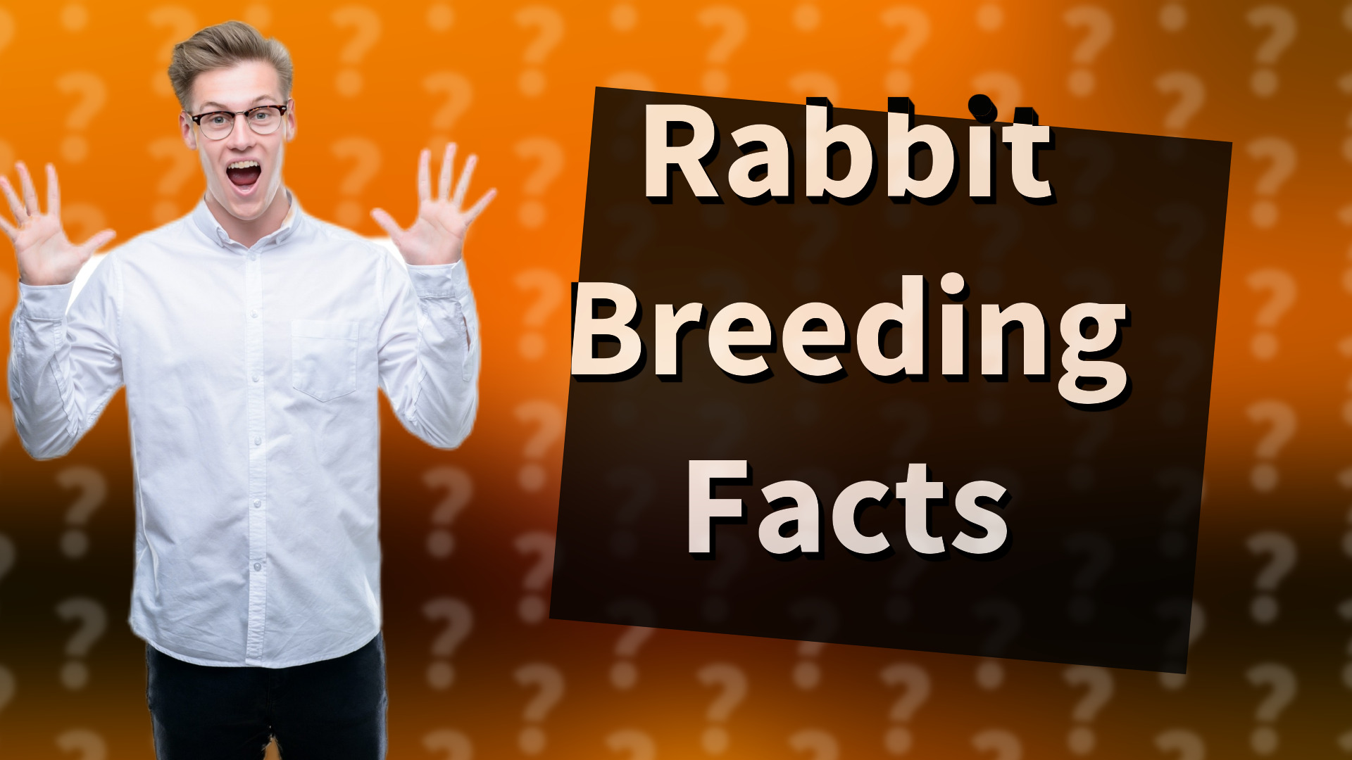 Rabbit Breeding Facts