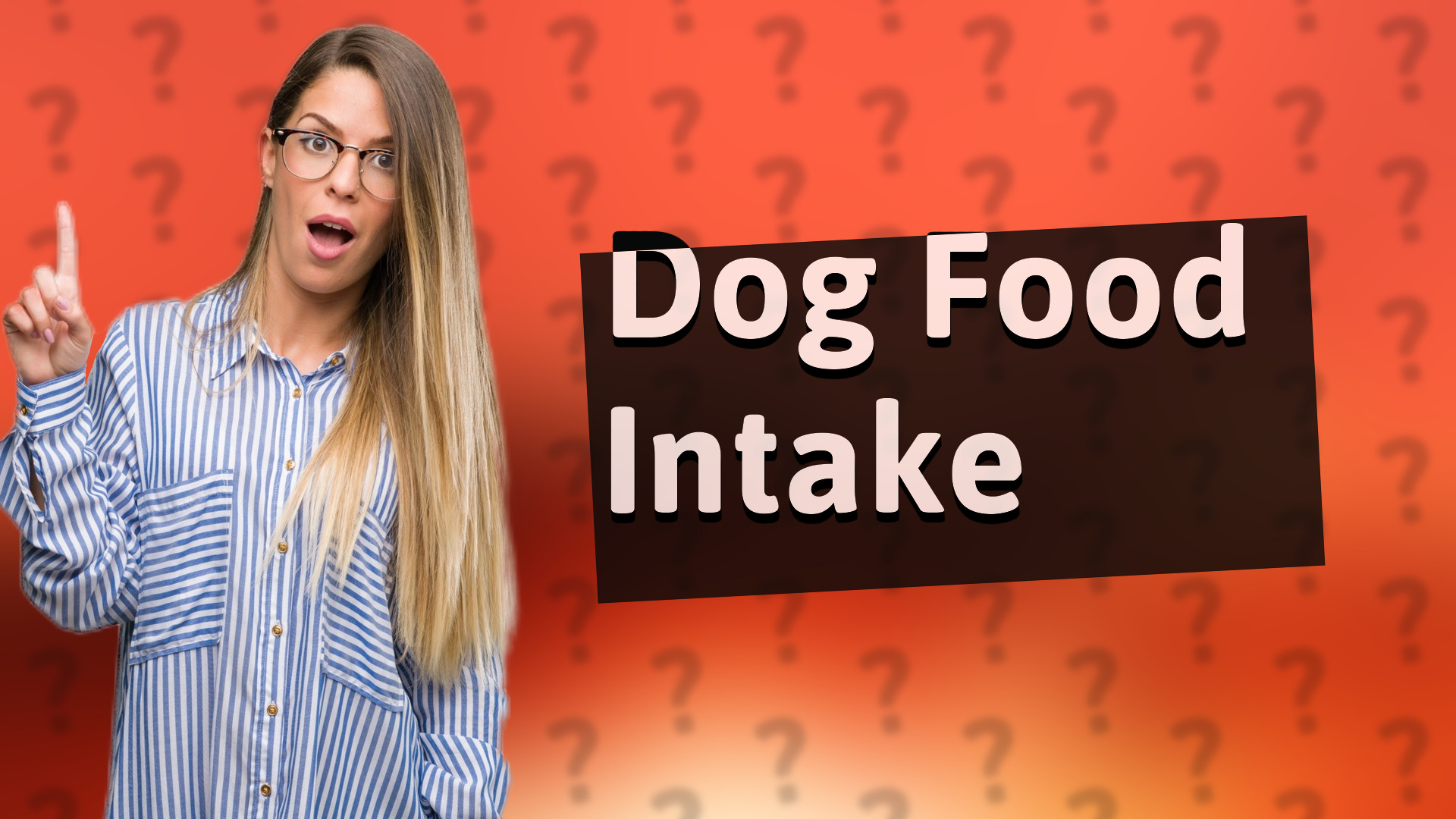 Dog Food Intake