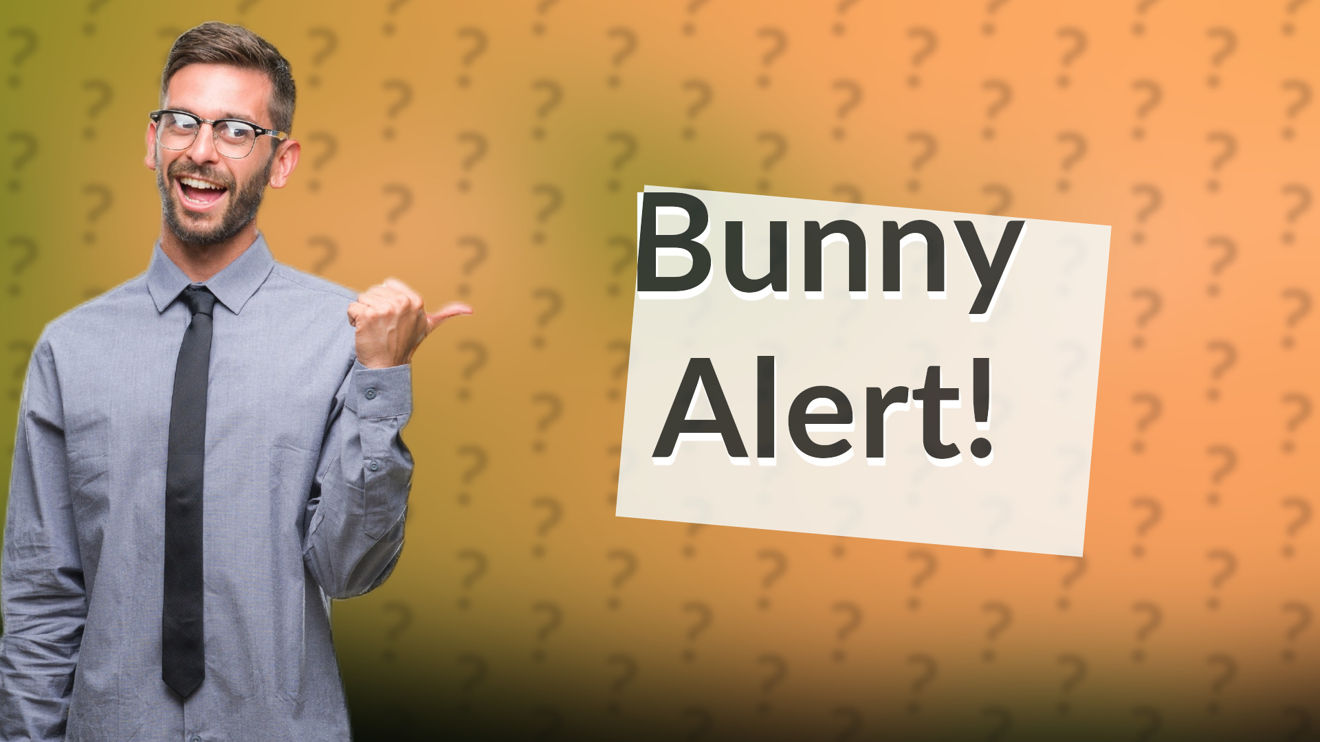 Bunny Alert!