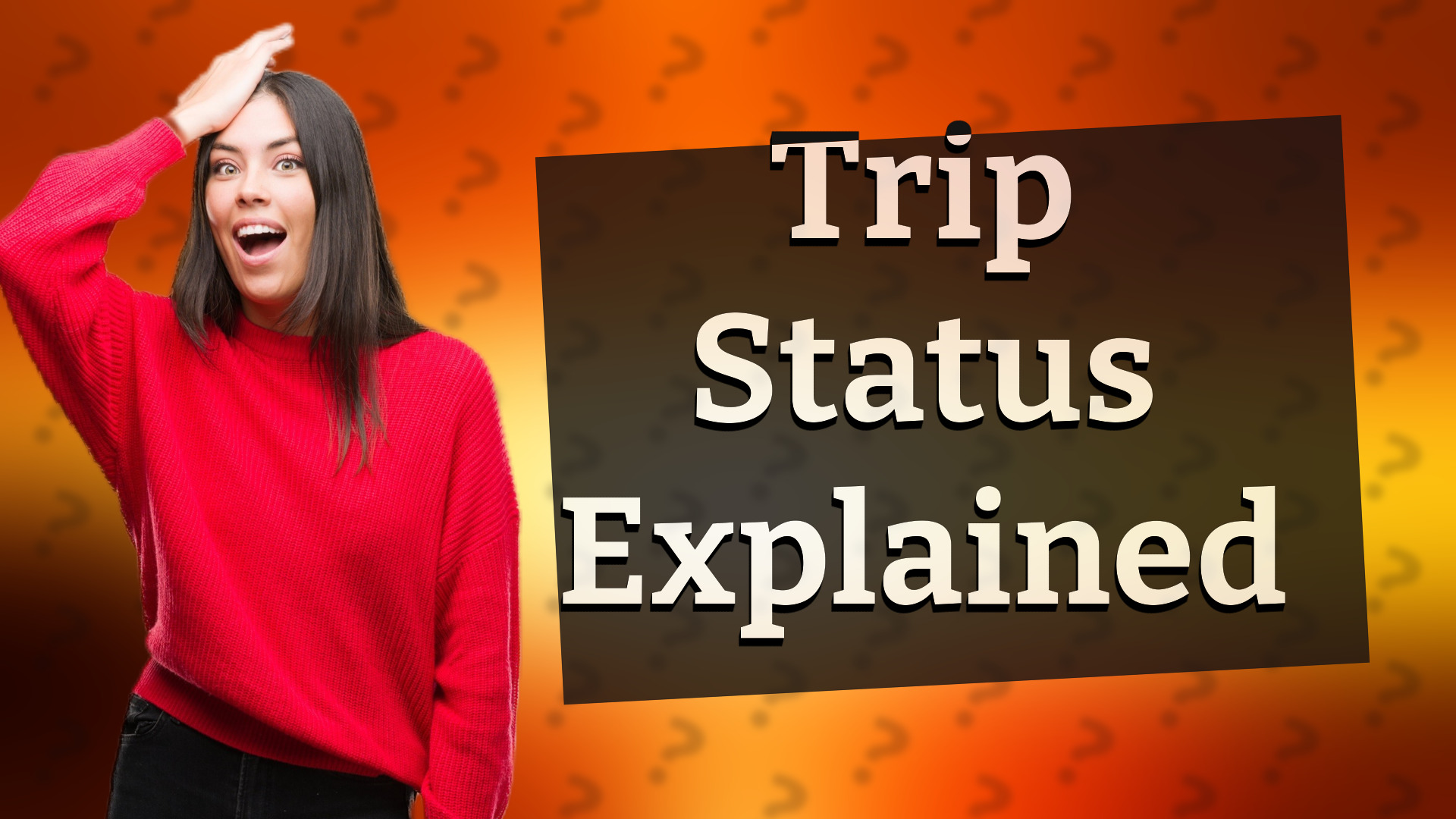 Trip Status Explained