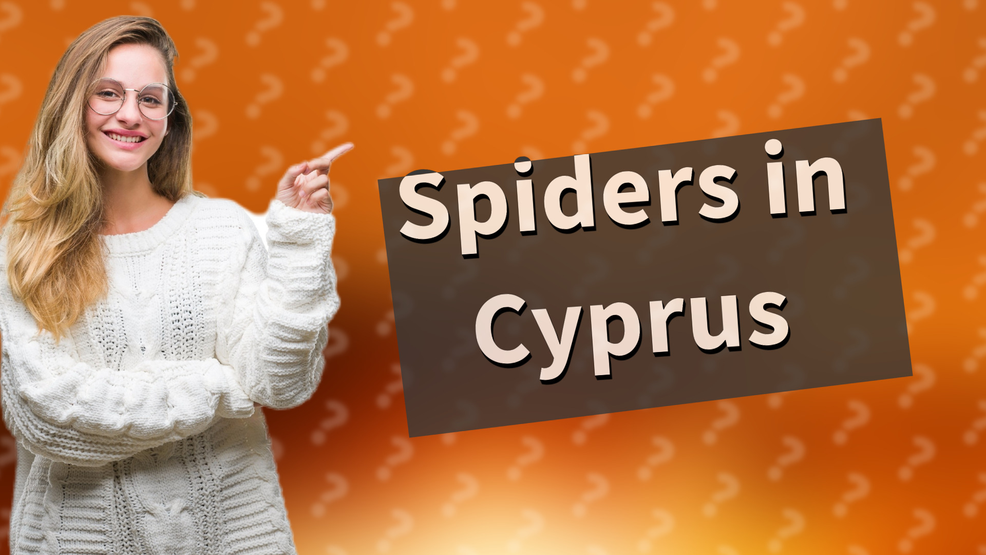 Spiders in Cyprus