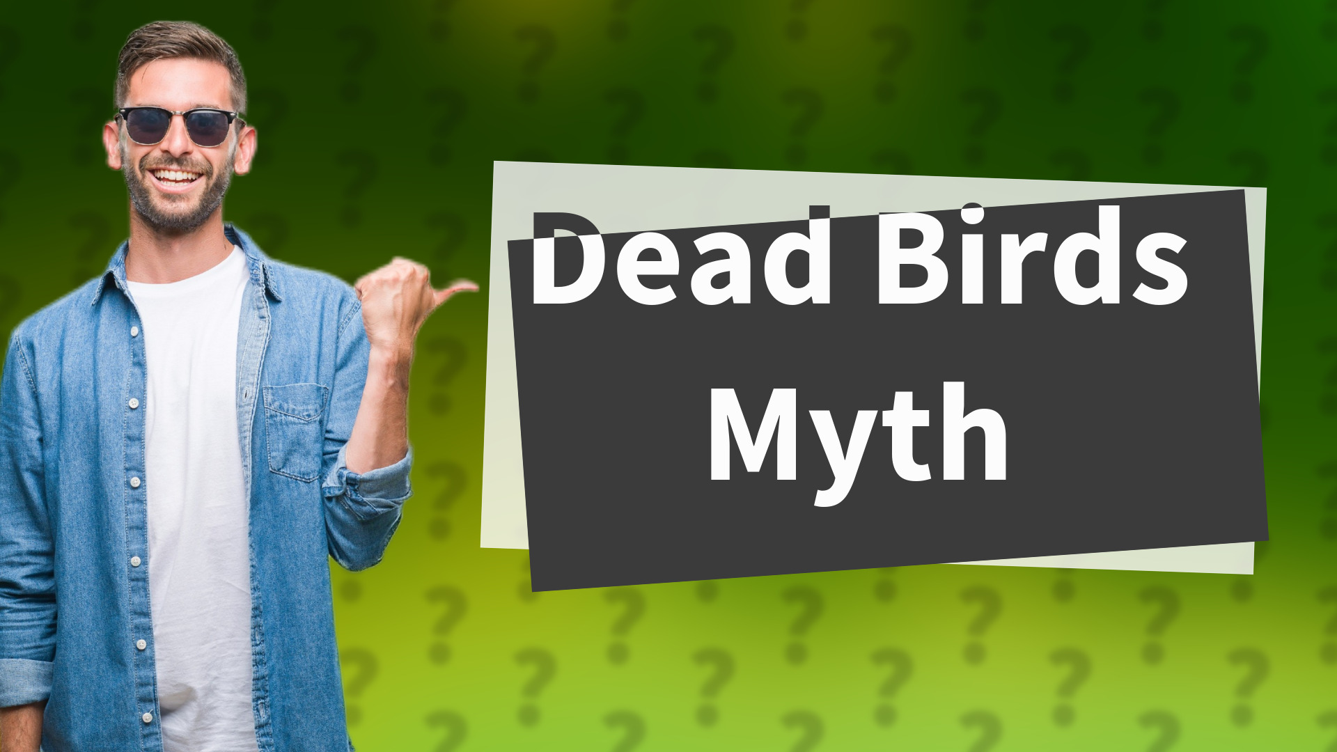 Dead Birds Myth
