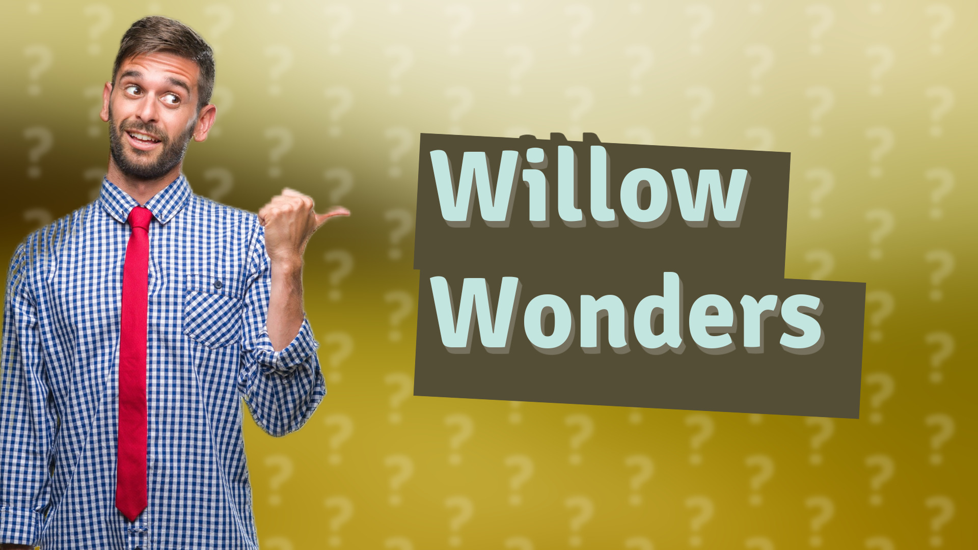 Willow Wonders