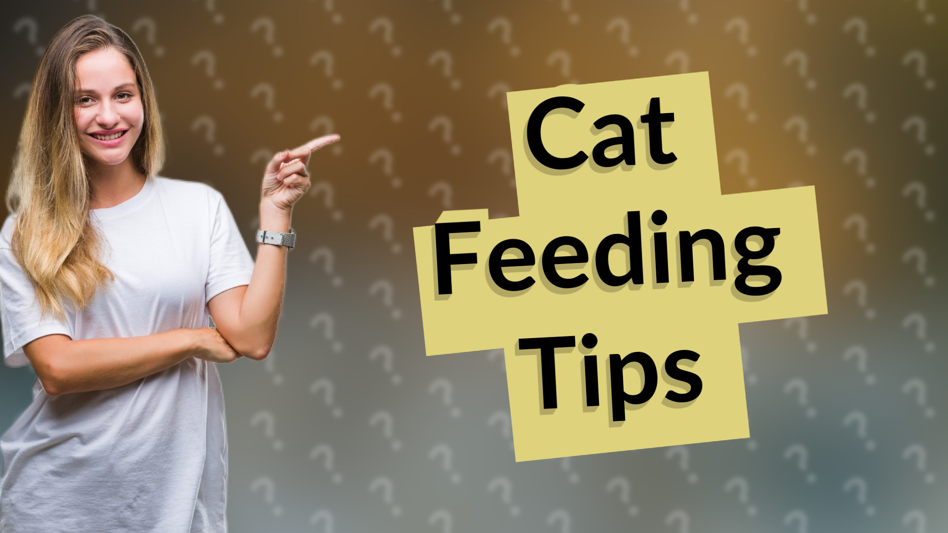 Cat Feeding Tips