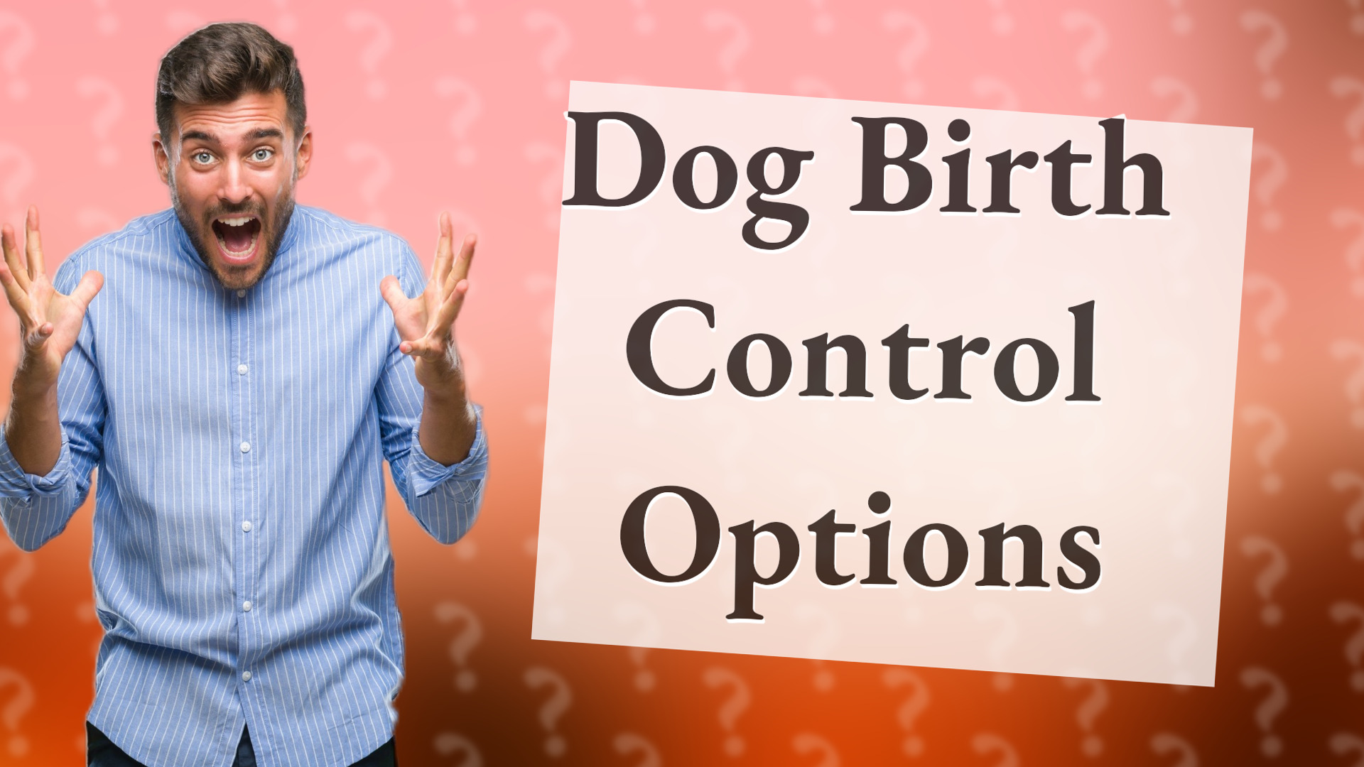 Dog Birth Control Options