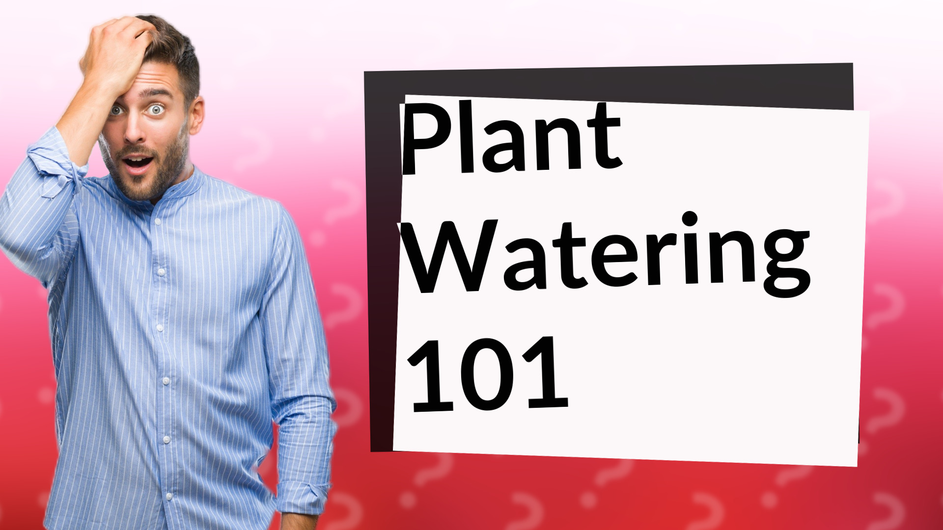 Plant Watering 101