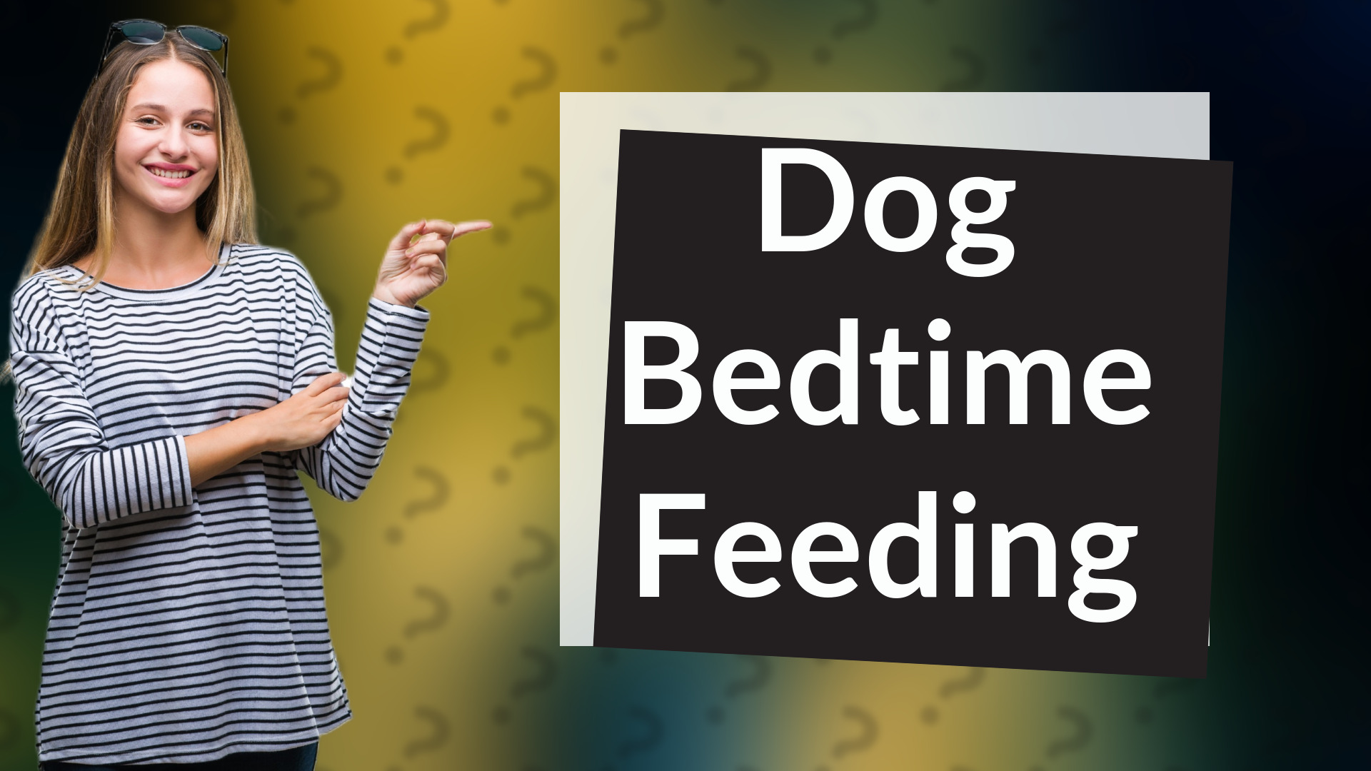 Dog Bedtime Feeding