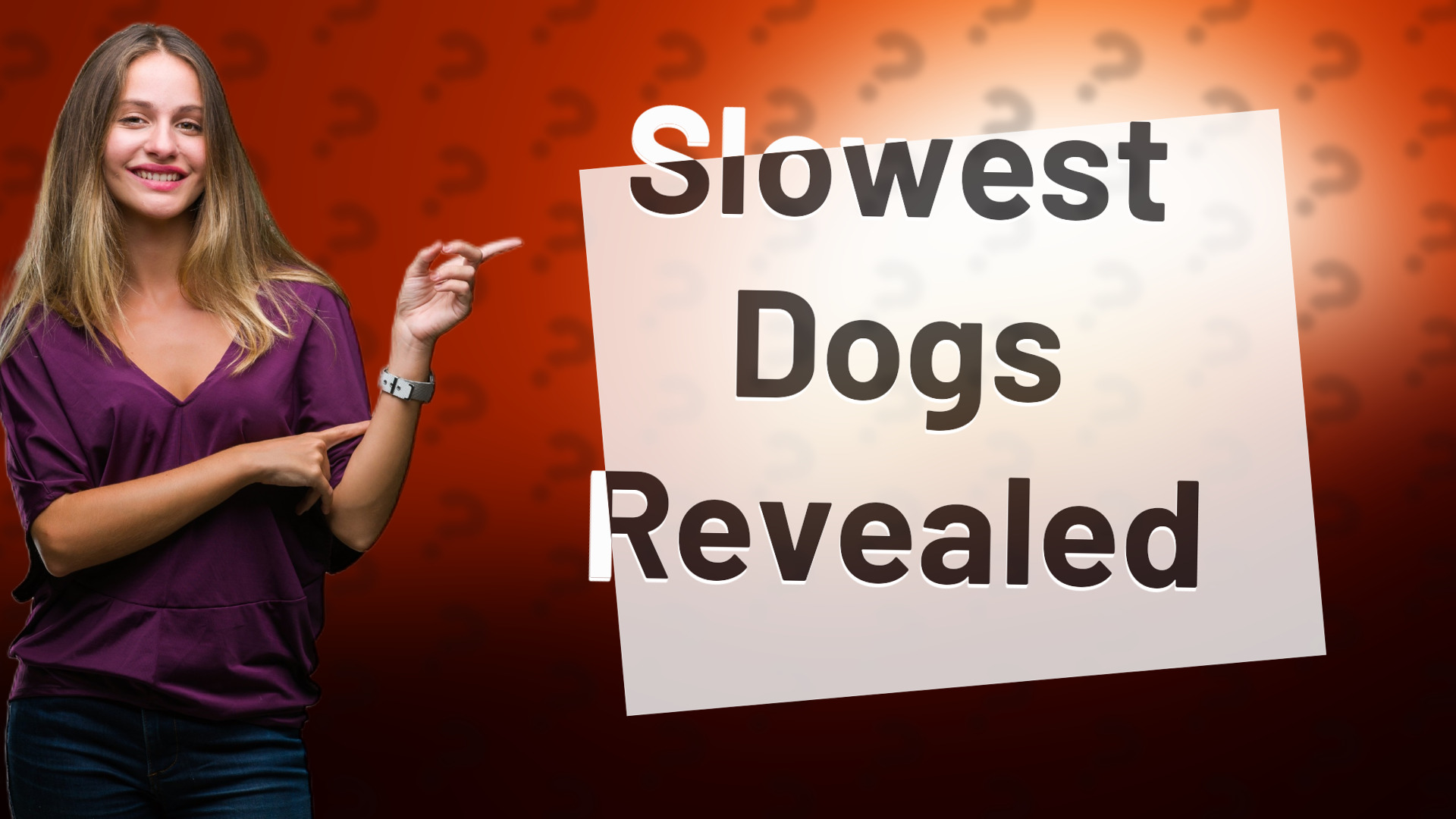 Slowest Dogs Revealed