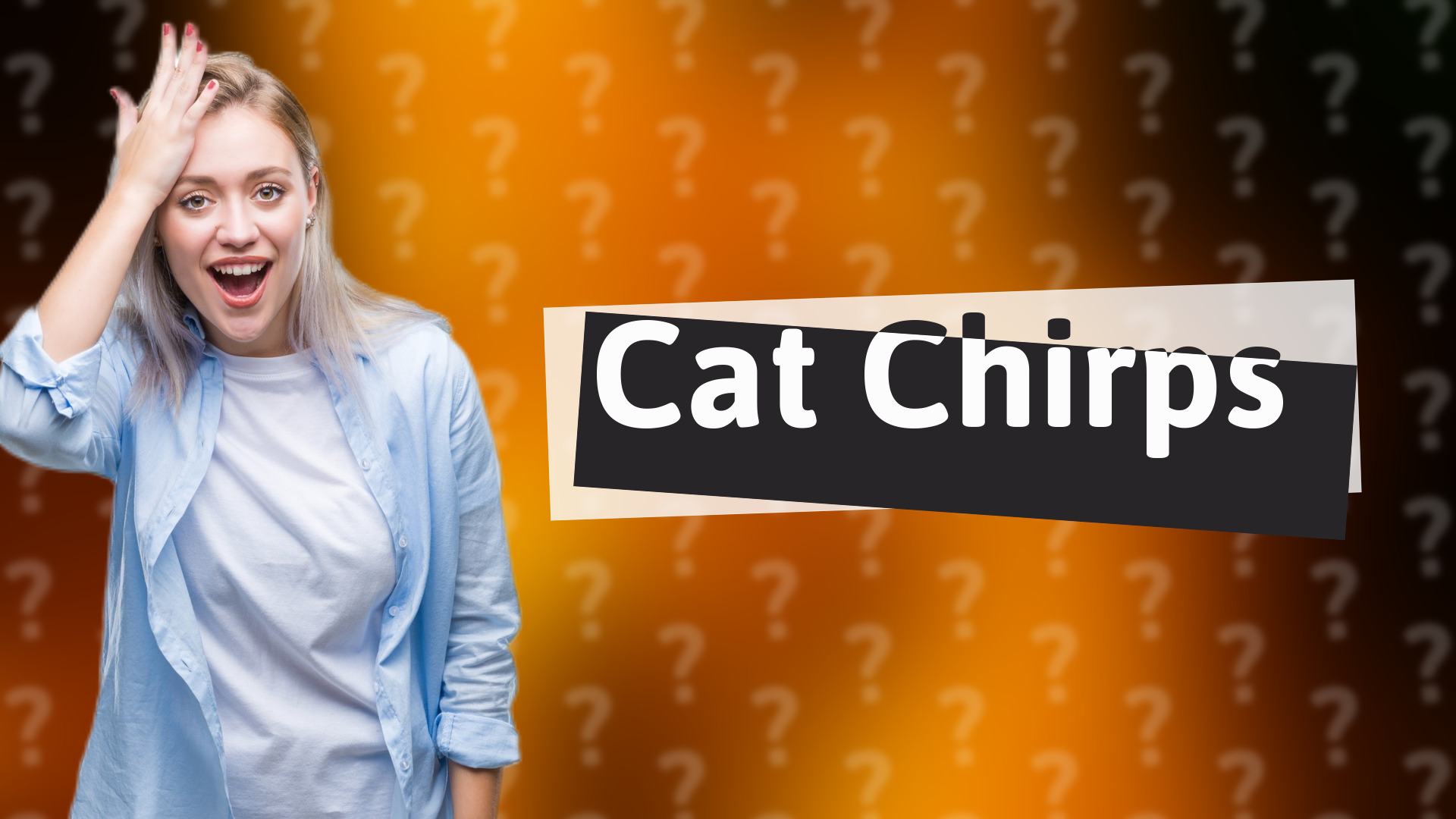 Cat Chirps