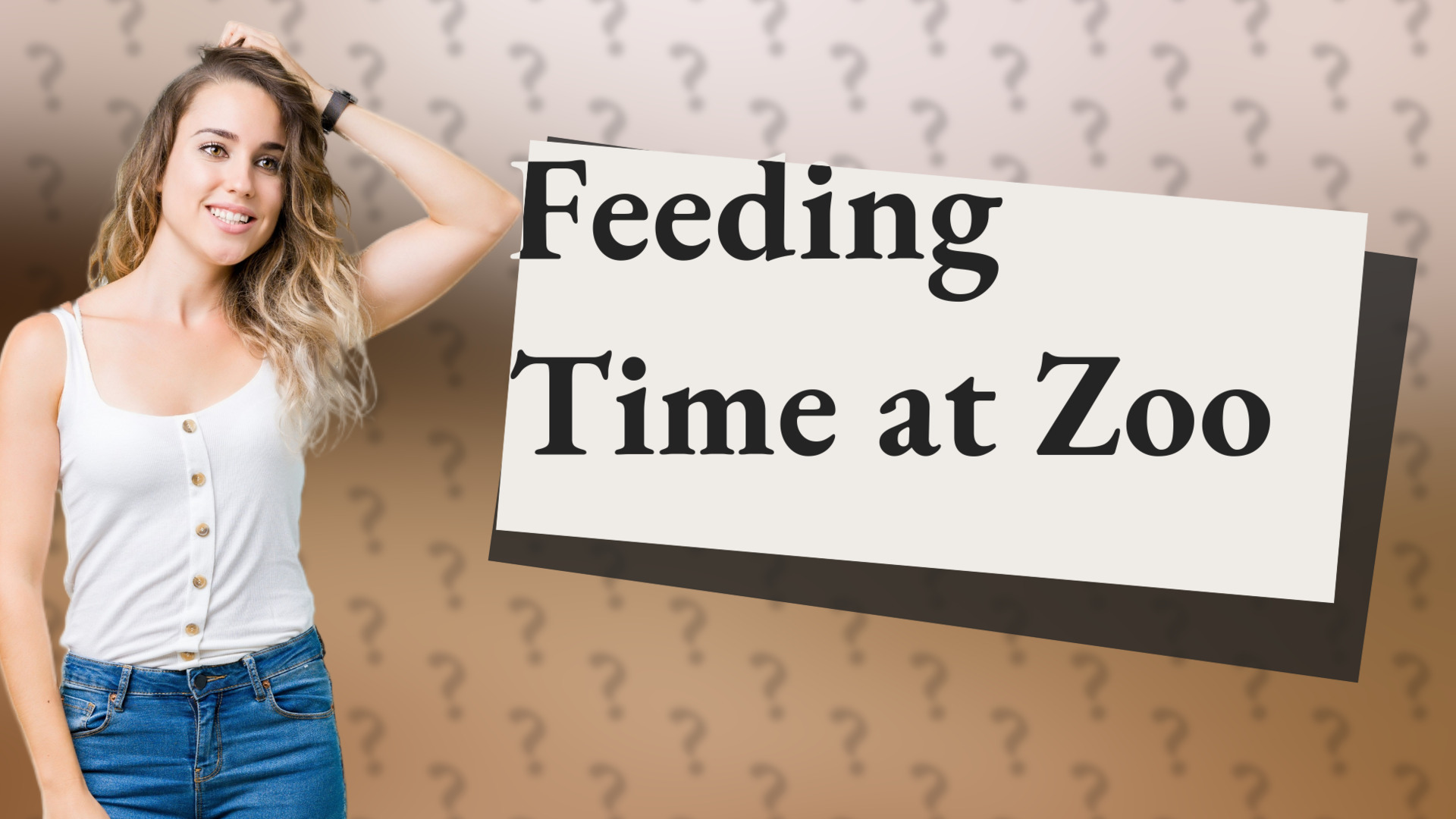 Feeding Time at Zoo