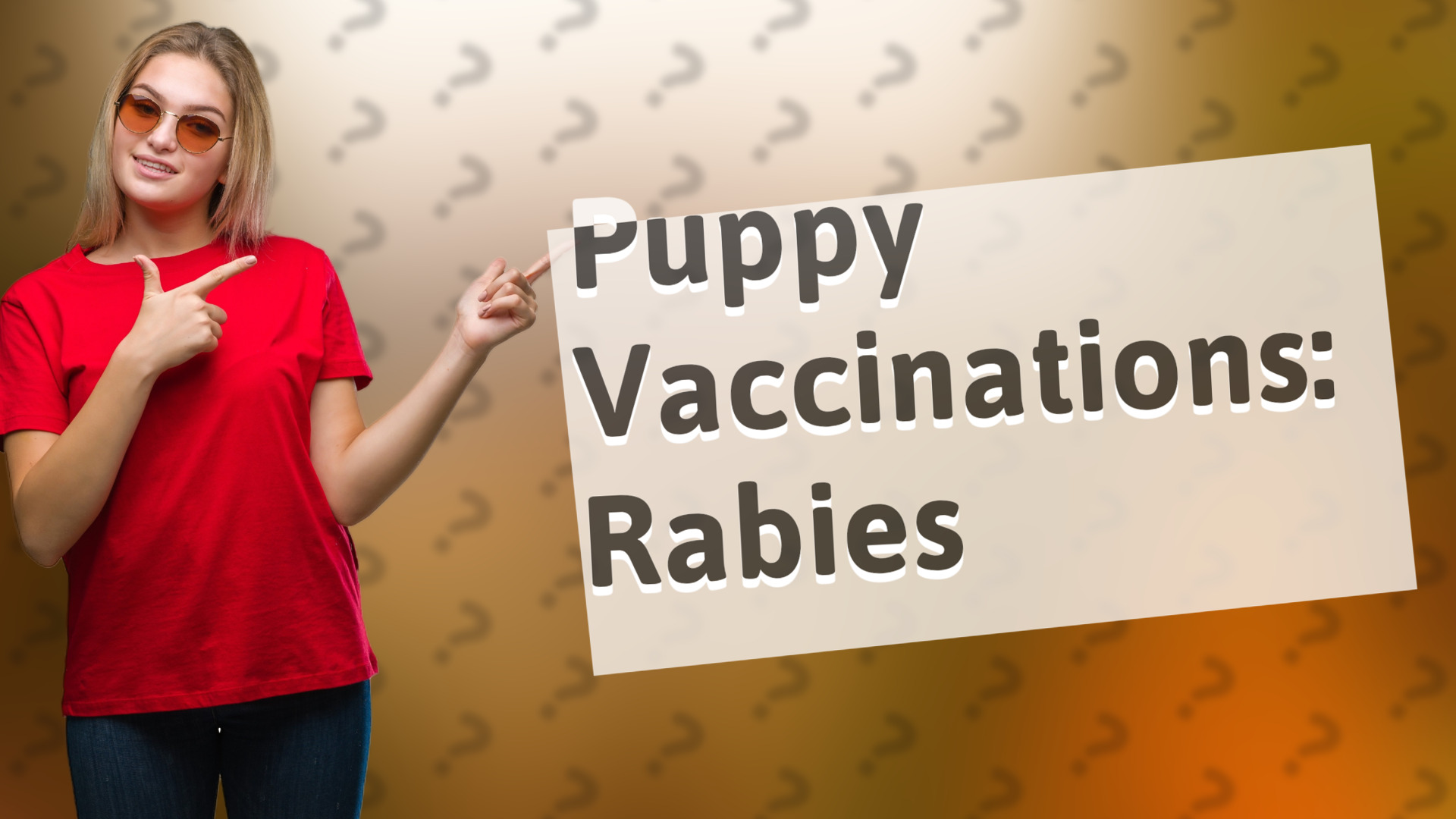 Puppy Vaccinations: Rabies