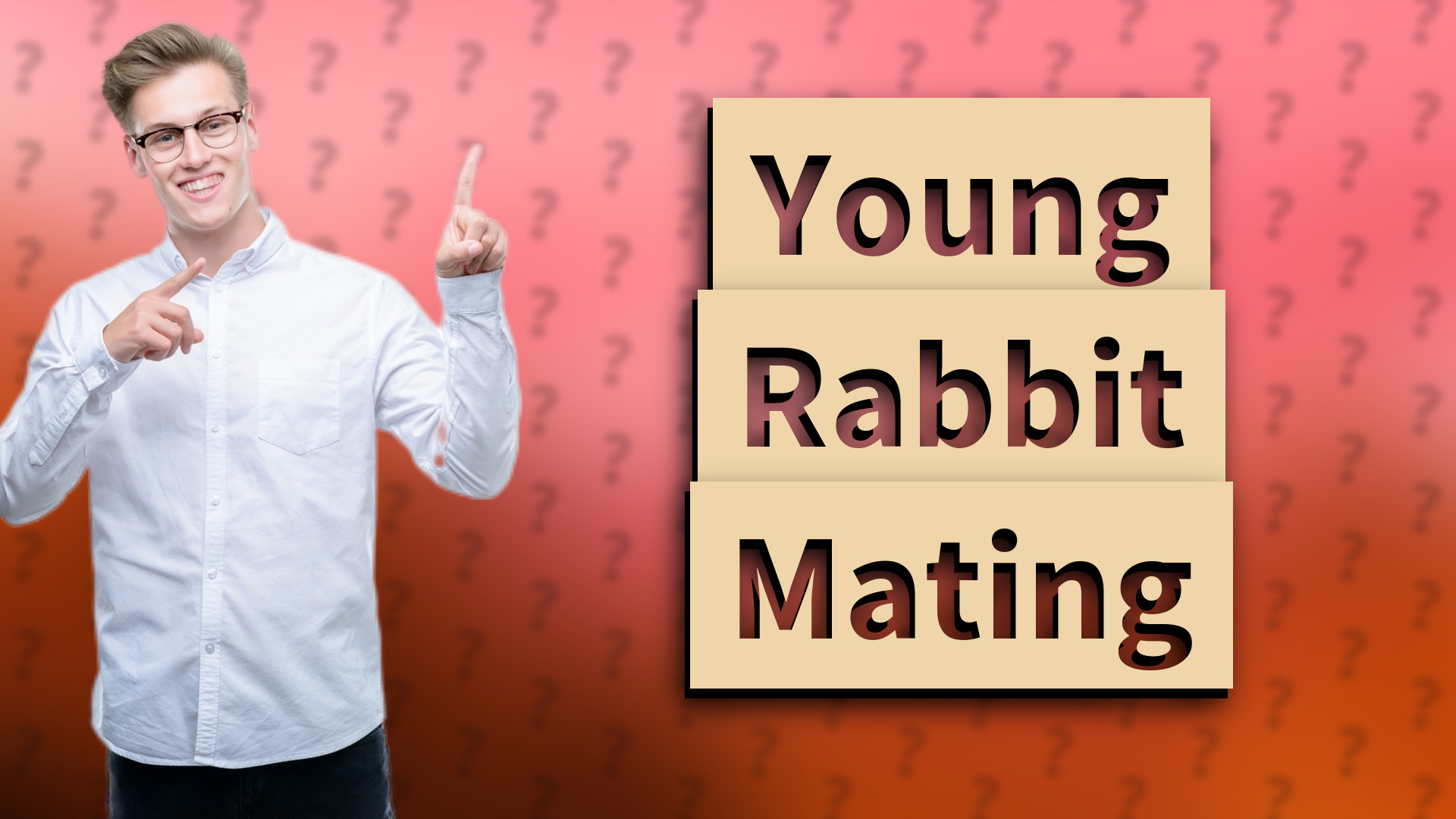 Young Rabbit Mating